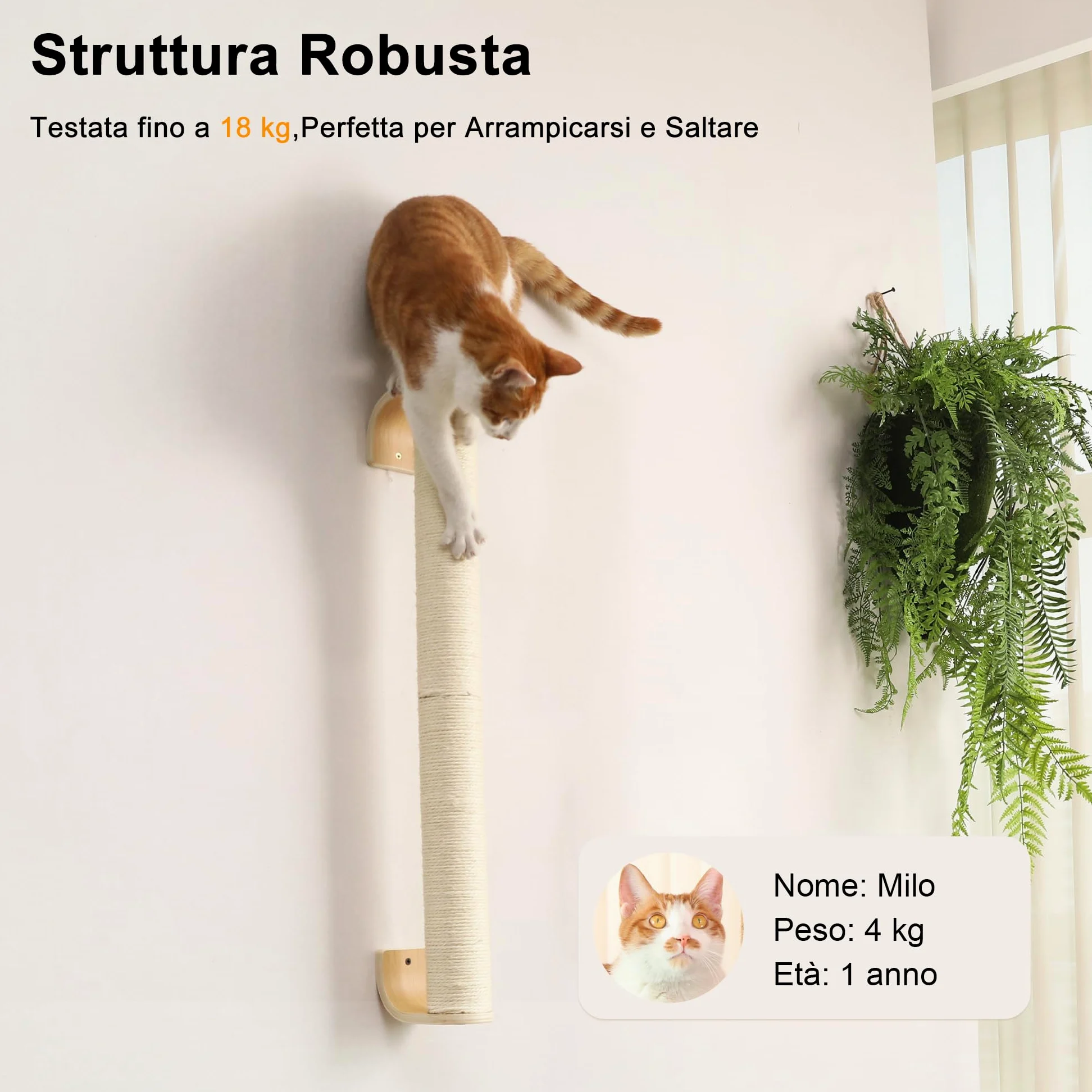 FUKUMARU Tiragraffi per Gatti da Parete, (L:71cm) Palo in Corda di Sisal Naturale a Muro per Gattini, Solido Albero per Arrampicare per Gatti Domestici.