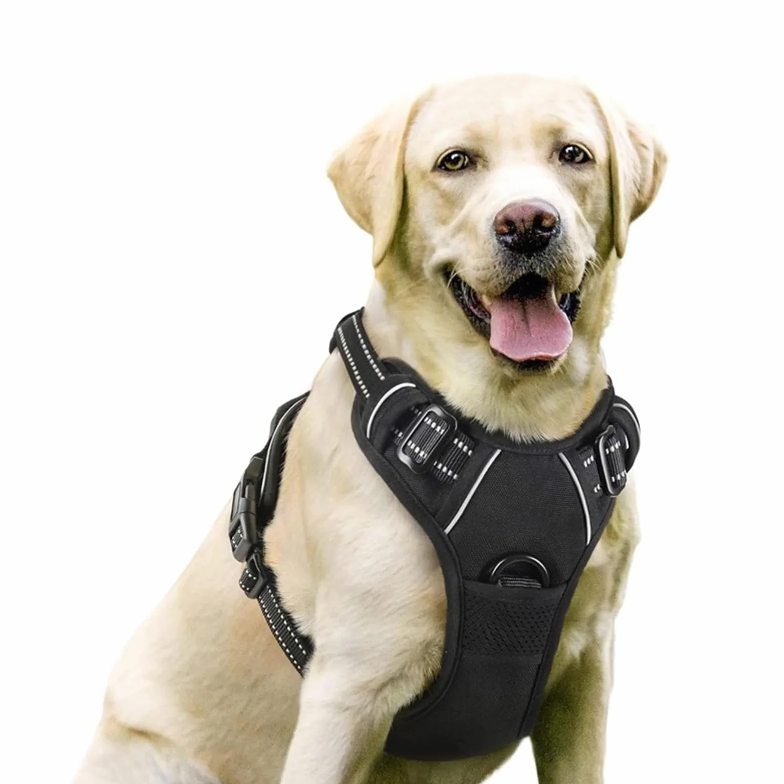 Imbracatura per cani regolabile traspirante con strisce riflettenti, guinzaglio incluso, comodo, taglia L