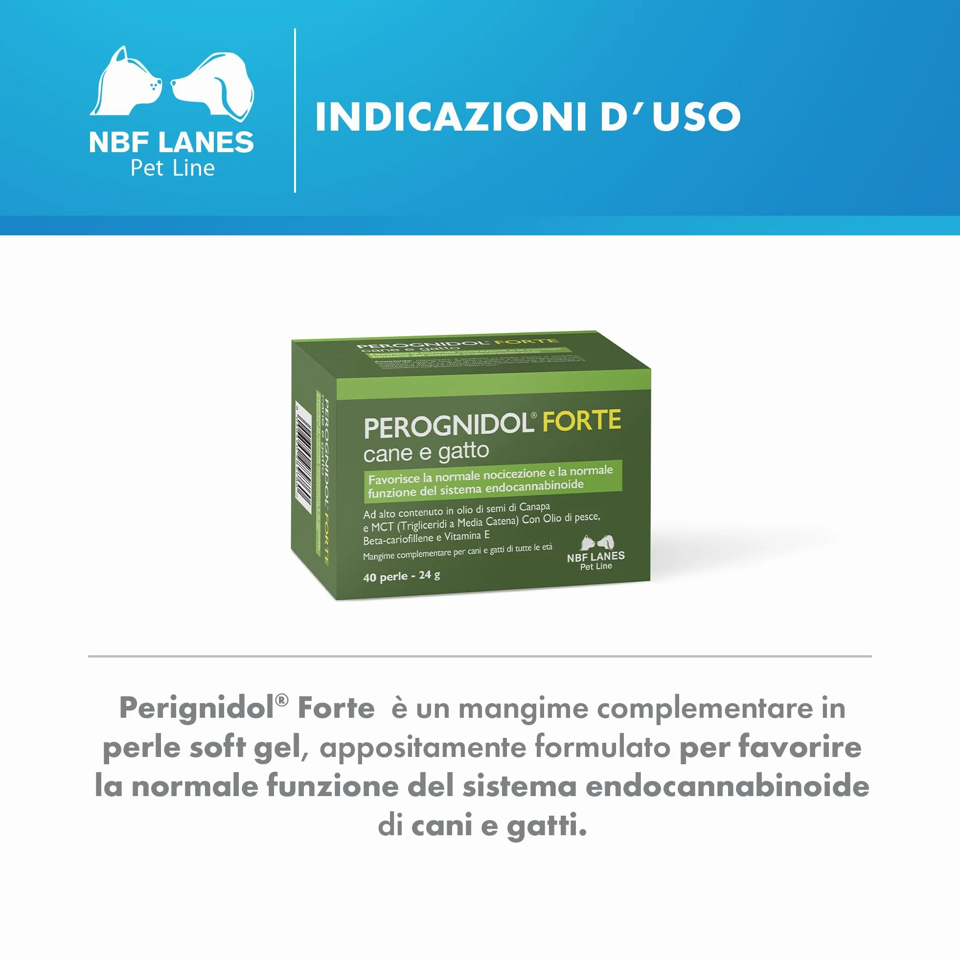 NBF Lanes | Perognidol FORTE Cane e Gatto, 40 perle, Favorisce la Normale Nocicezione e la Normale Funzione del Sistema Endocannabinoide
