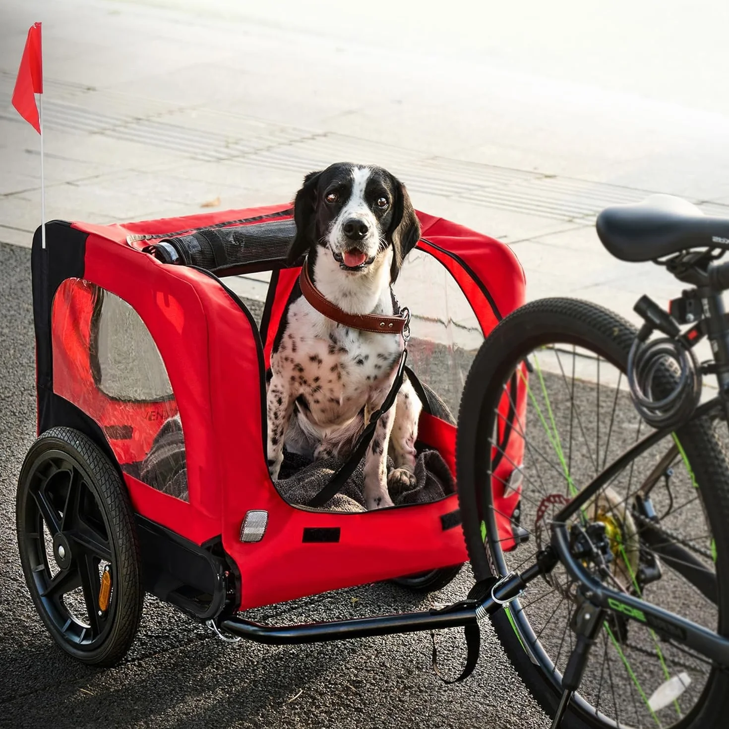 sogesfurniture Rimorchio per cani da bicicletta, pieghevole, con frizione, bandiera, riflettore, tela Oxford 600D, per cani