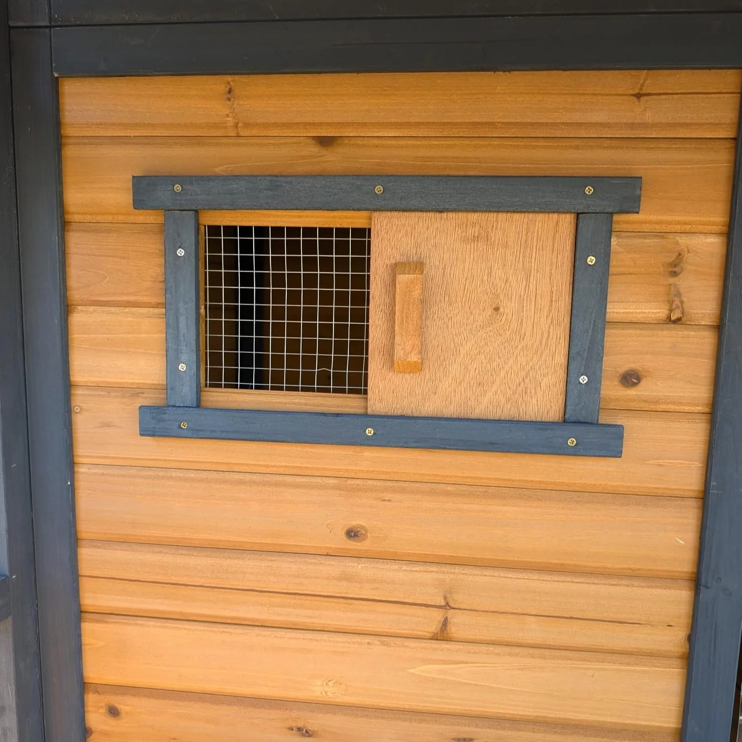Cuccia Chalet Saint Bernard V2 per Cane Taglia XL