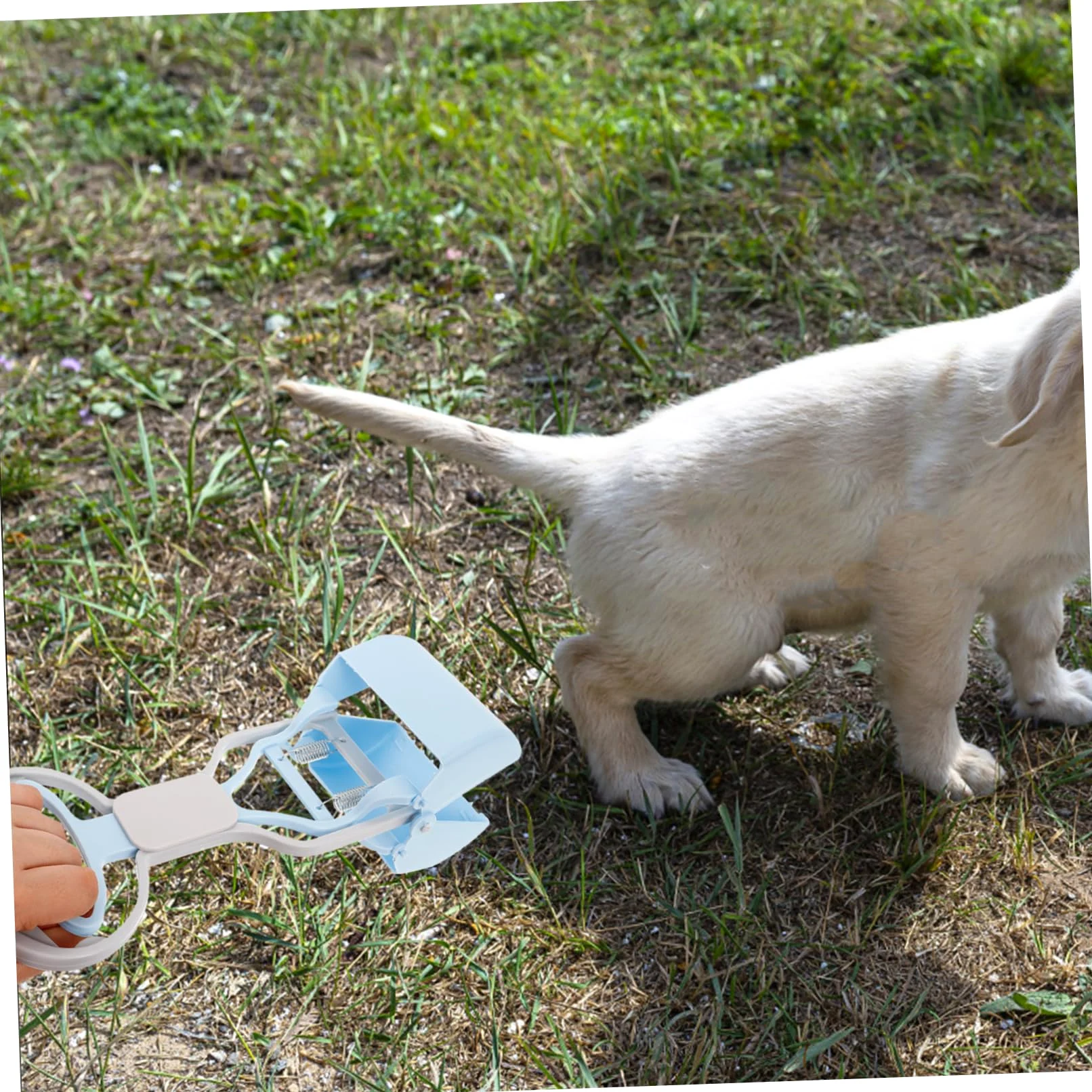 BESPORTBLE 4pezzi Raccoglitore di Feci per Cani Resistente con Manico Ergonomico Accessorio Pratico per La Pulizia Rapida Casa Design Compatto e Salvaspazio