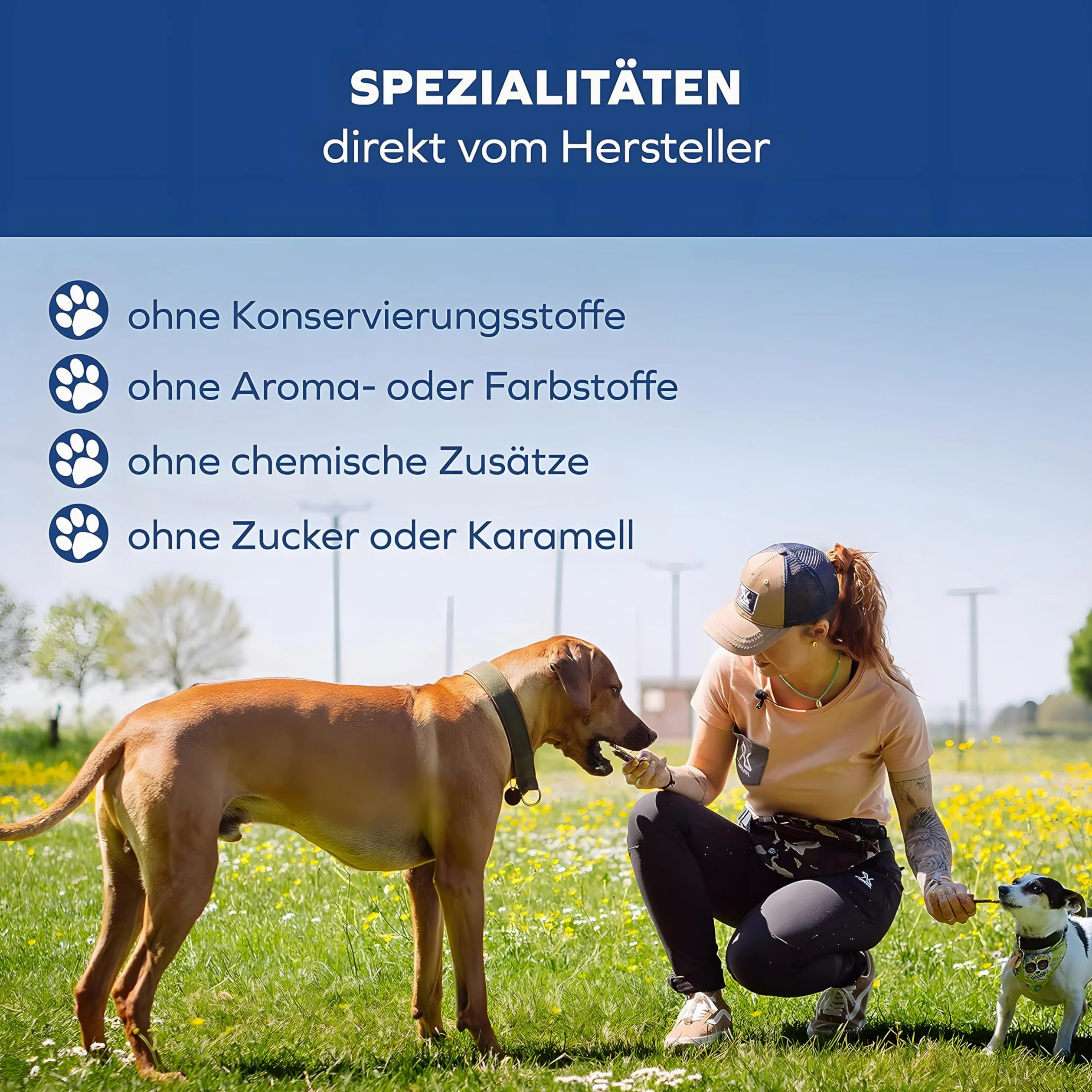 Carne secca di manzo per cani – 8 – 12 cm deliziose bastoncini da masticare – Deliziosi snack per cani in carne secca – 1000 g