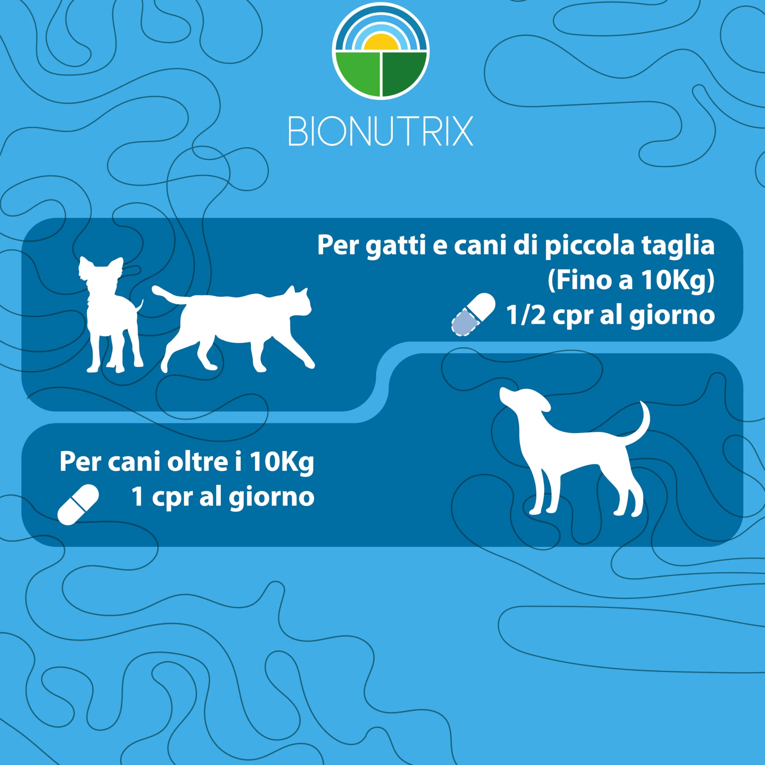 FLORAX | Probiotico per Cane e Gatto | 40 CPR Appetibili | Alto Dosaggio | Integratore Alimentare | Ripristino Flora Intestinale | MOS, E.faecium, Farina di Carrube, Inulina e Vitamina C | BioNutrix ®