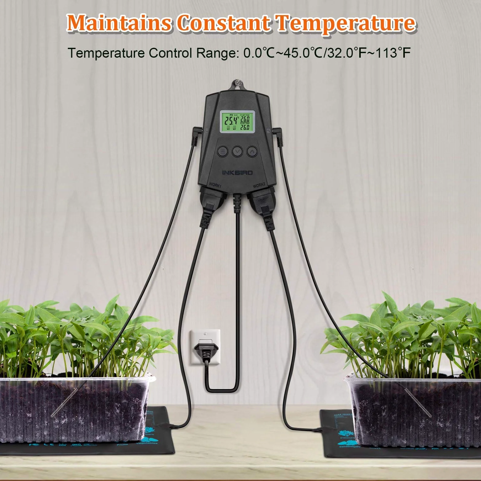 Inkbird IPT-2CH termostato WiFi per il controllo della temperatura del tappetino di riscaldamento con controllo app per le piantine che coltivano la serra
