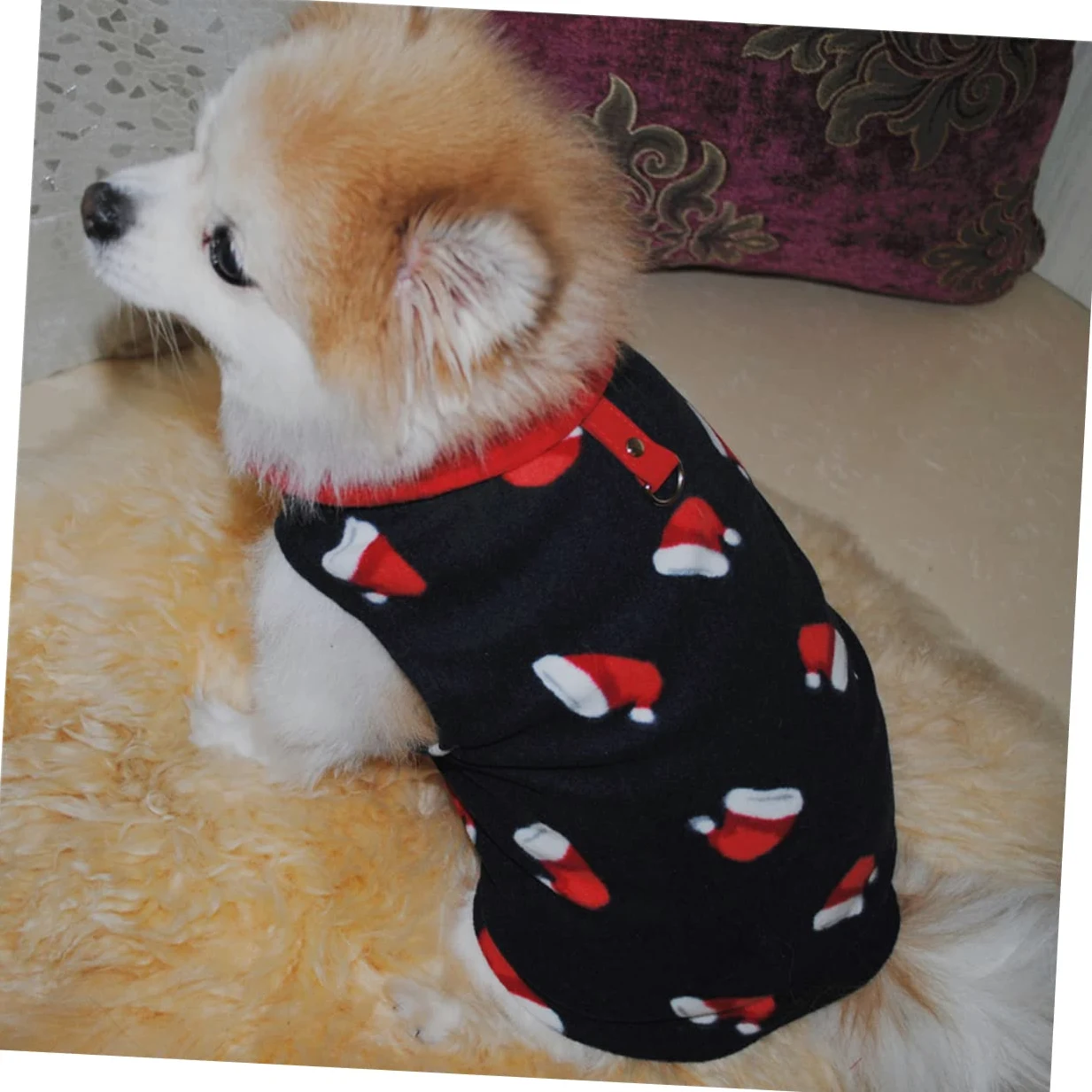 HMJGDHX 2 Pezzi Prodotti per Animali Domestici Vestiti Caldi per Cani Bomboniere Natalizie per Cani Vestiti Natalizi per Animali Domestici Maglione per Cani Renna di Natale per Animali Costume Cosplay