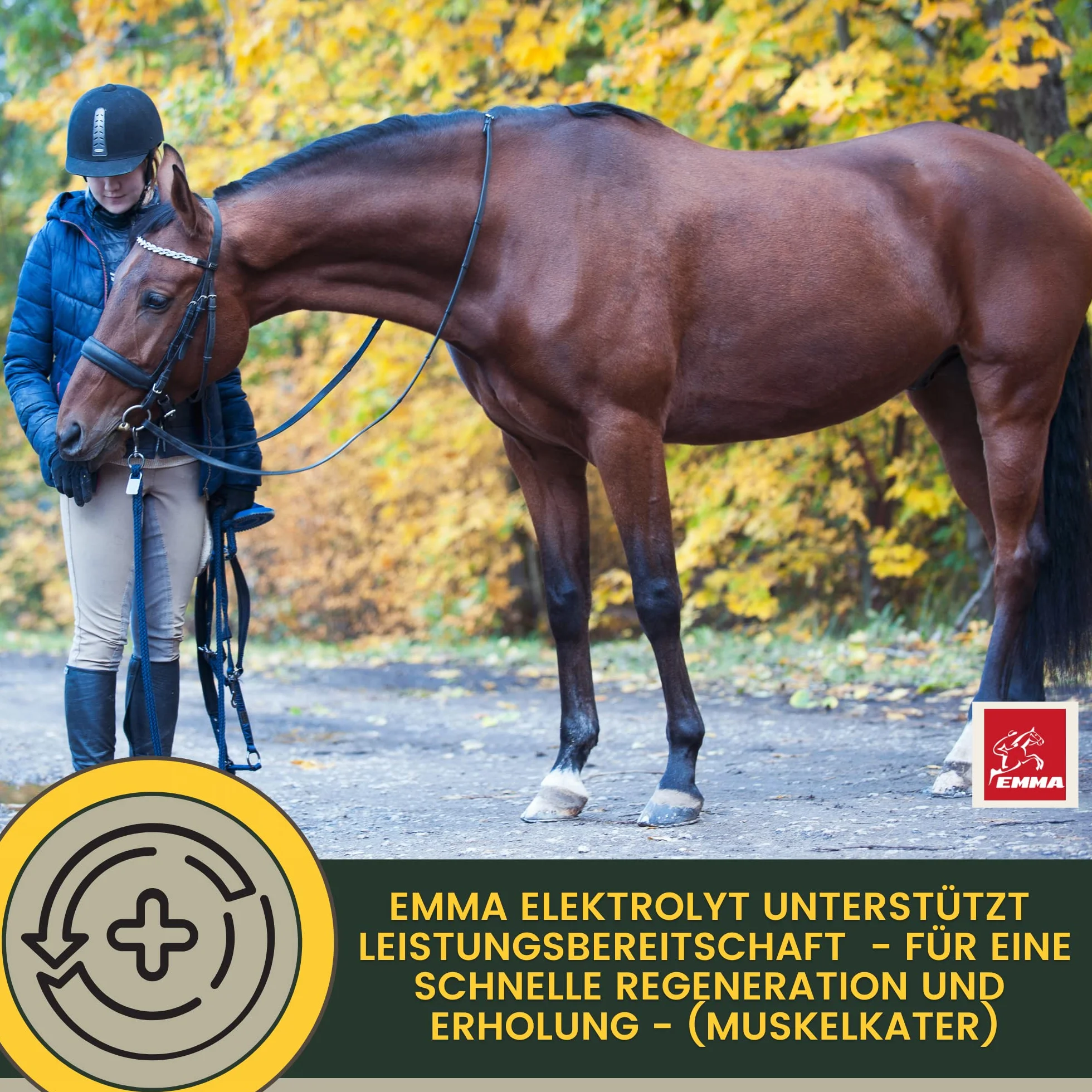 Elettroliti Cavallo - Pasta vitaminica per cavalli I Complesso vitaminico b Cavallo I Elettroliti Sodio Potassio Magnesio I Alimenti minerali Cavalli dopo la diarrea Vomito Acqua Sali minerali 3p.