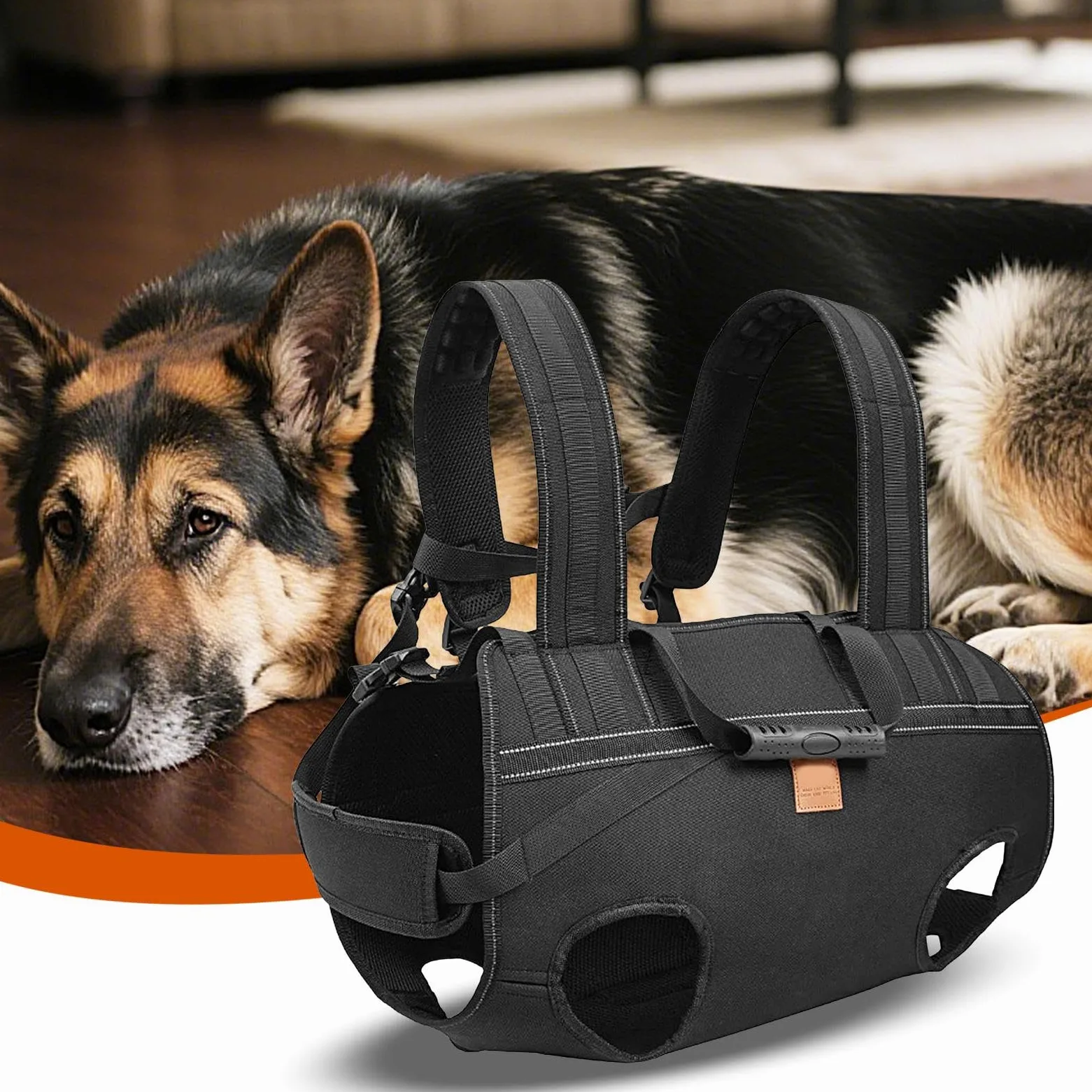 Imbracatura Per Sollevamento Cani Fascia Di Trasporto Regolabile | Supporto Sollevamento Cane Per Anziani Riabilitazione Mobilità Razze Grandi Passeggiate Quotidiane Viaggio