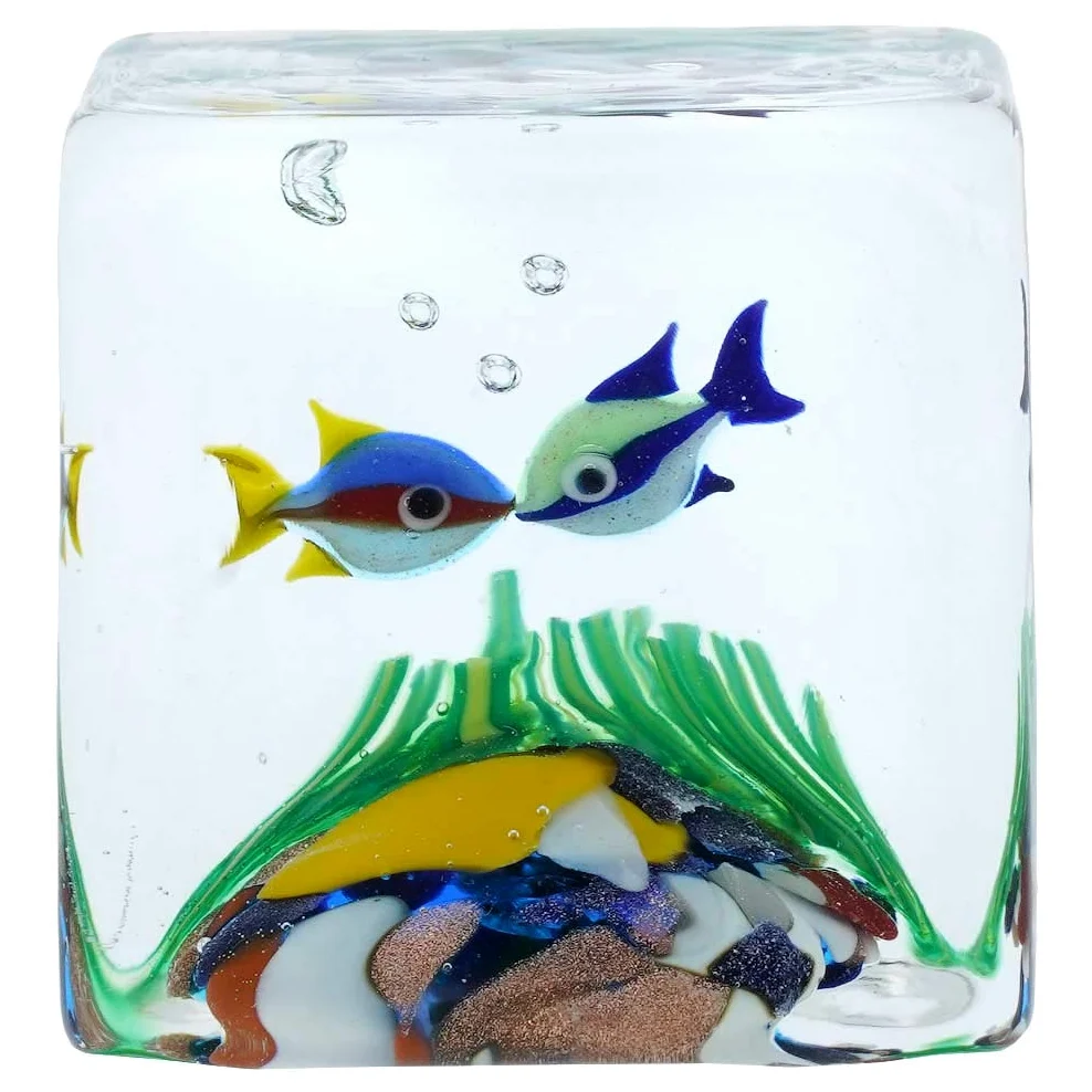 GlassOfVenice - Cubo per acquario in vetro di Murano con pesci tropicali