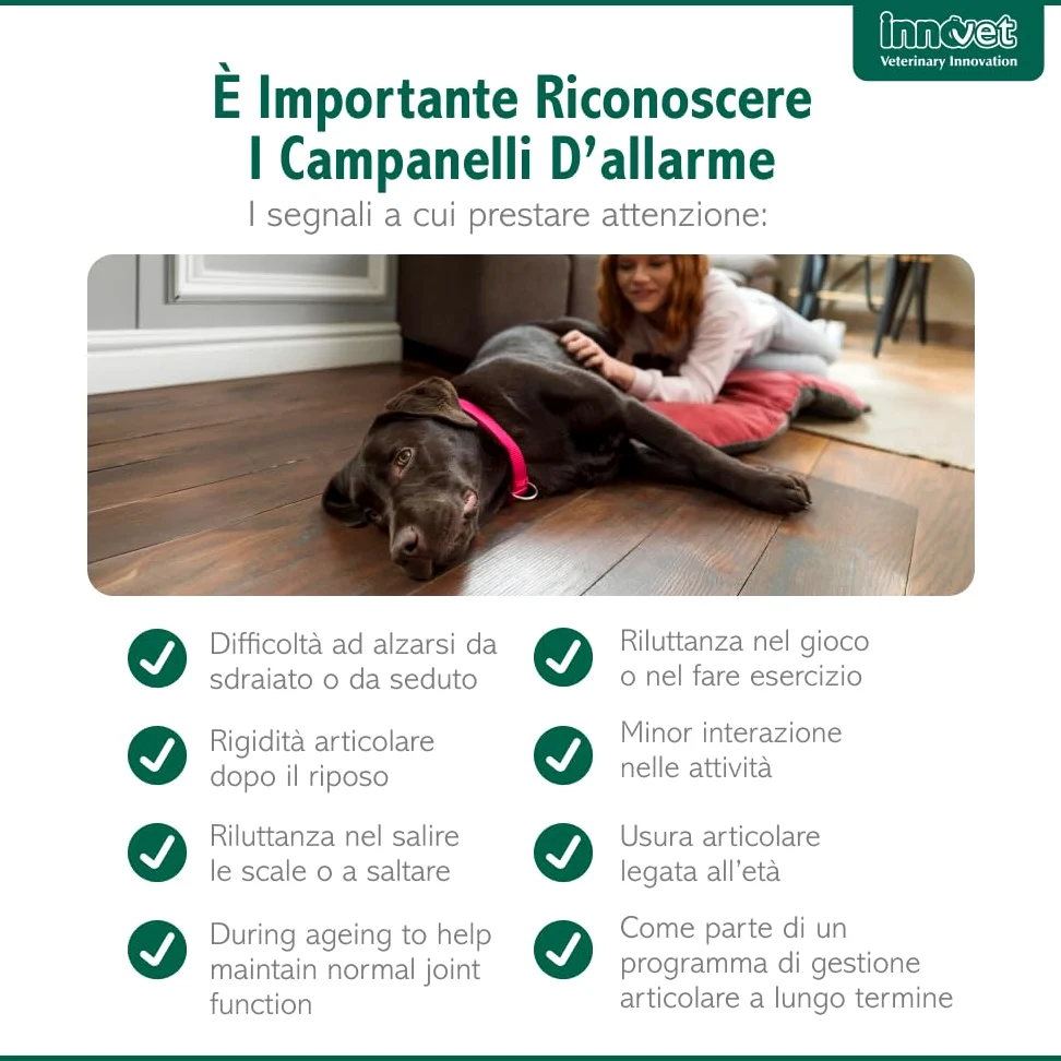 Innovet Condrostress Mobility per Cani Adulti e Anziani Che Soffrono di rigidità articolare – 60 Soft Chews – Supporta Il metabolismo cartilagineo e la Mobilità