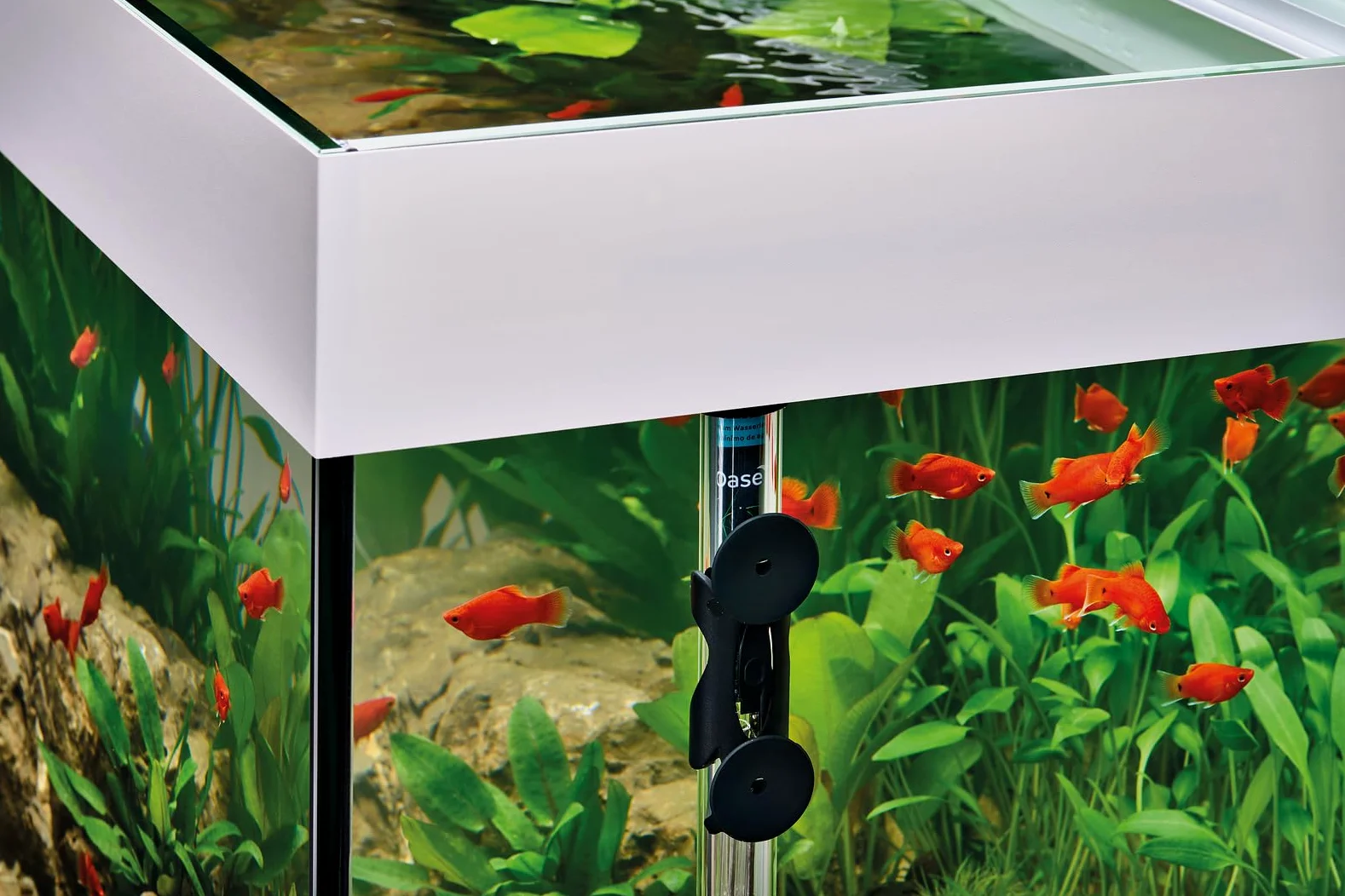 Oase HeatUp 100 - Riscaldatore per Acquario, riscaldatore per acquari d'Acqua Dolce e Marina con termometro, 100 W