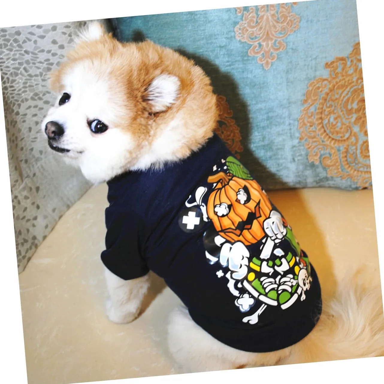 PRETYZOOM 6pezzi Costumi Per Cani Di Halloween Da Magliette Per Cani e Arancione Comode e Lavabili Per Feste e Occasioni Speciali