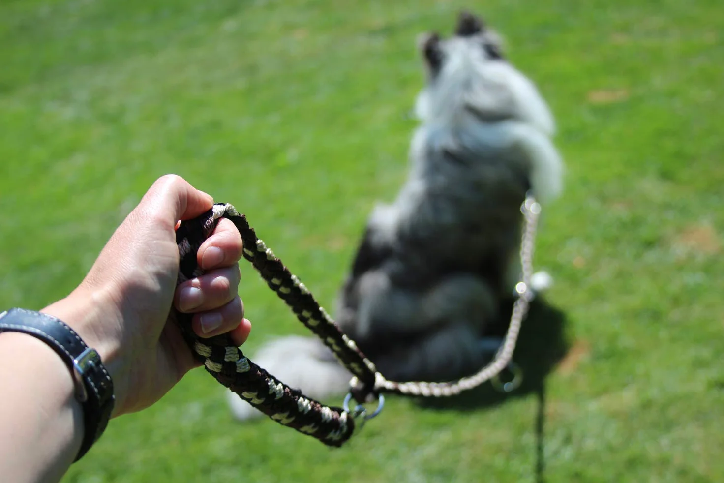 Guinzaglio per cani intrecciato, multilaterale, regolabile in 4 posizioni, lunghezza 2,80 m, rotondo, diametro 15 mm, per cani grandi e grandi, Made in Germany