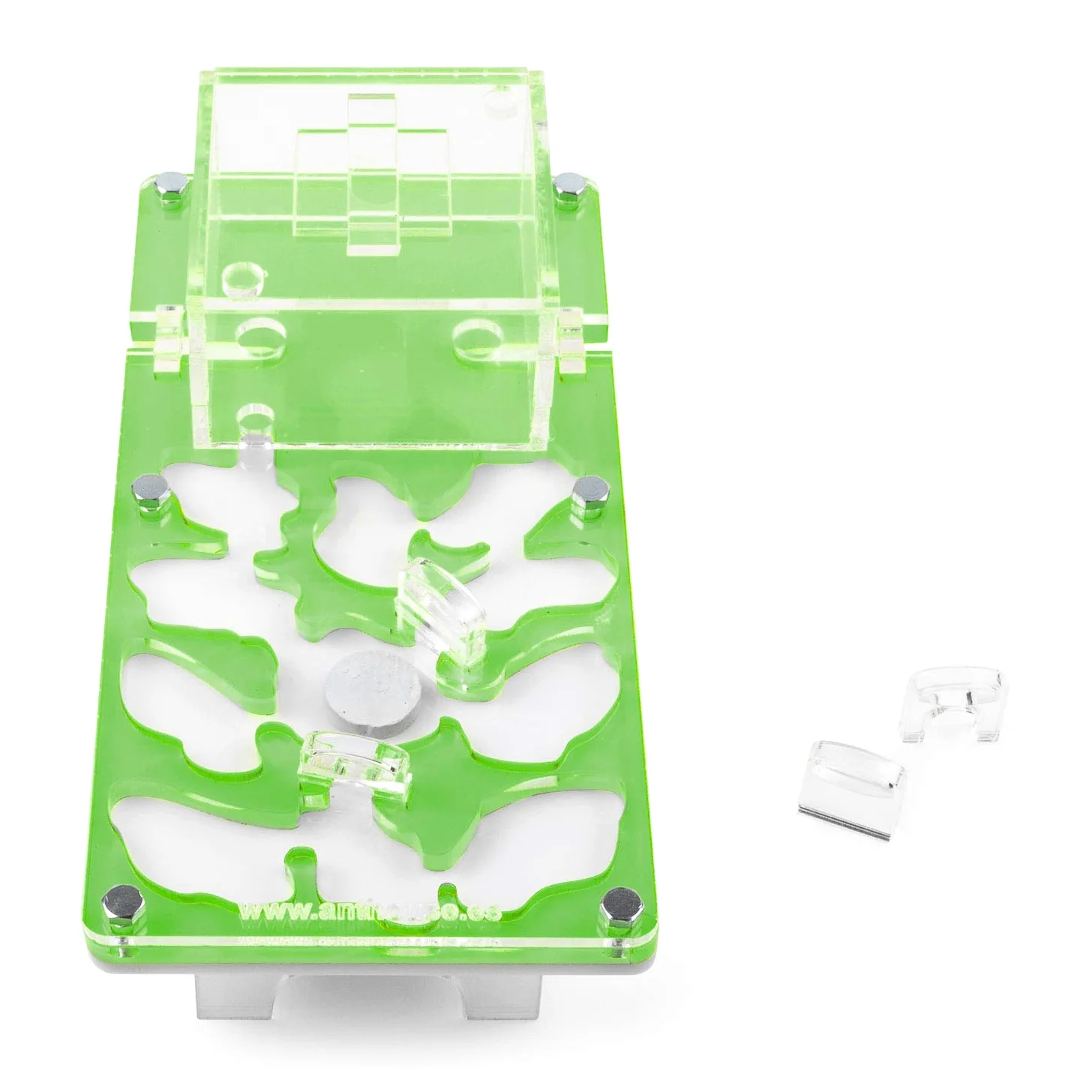 AntHouse - Formicaio Acrilico NaturColor 20x10x1cm - con Sistema di umidità Fungo (Formiche Incluse) - Verde