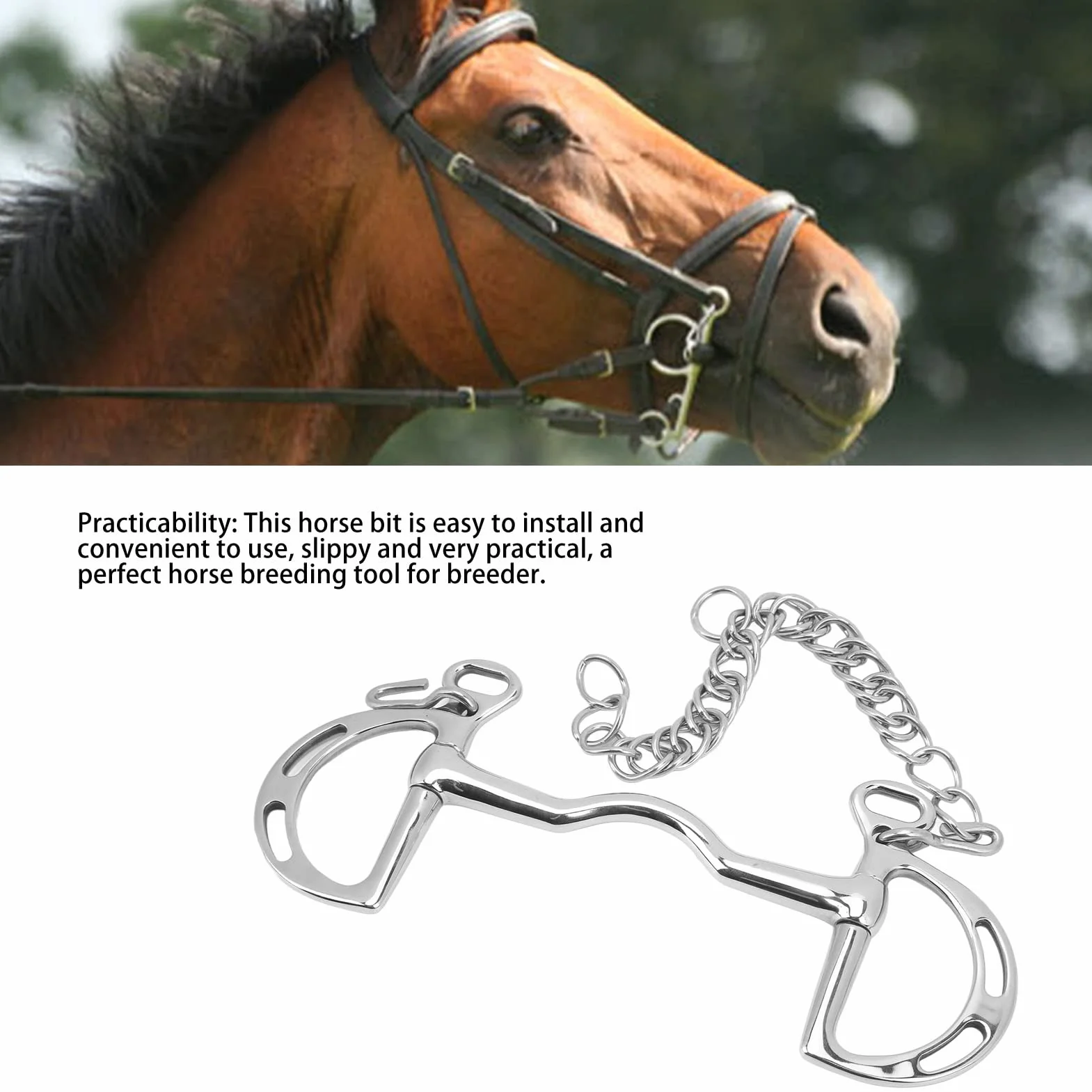 BestAlice Filetto per Cavallo, Morso per Cavallo in Acciaio Inossidabile Filetto per Cavallo da Masticare, Anello a D Filetto per Cavallo in Acciaio Inossidabile Filetto per Bocca di Cavallo con Caten