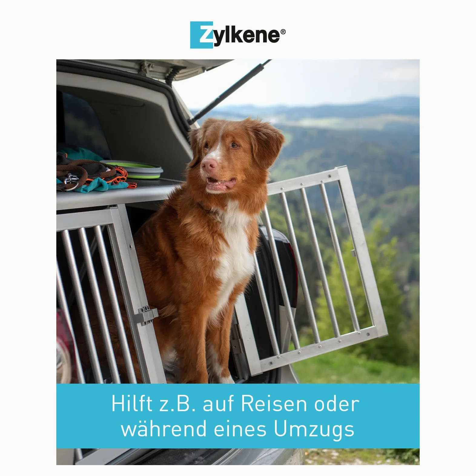 Zylkene 225 mg - 100 capsule (cani)