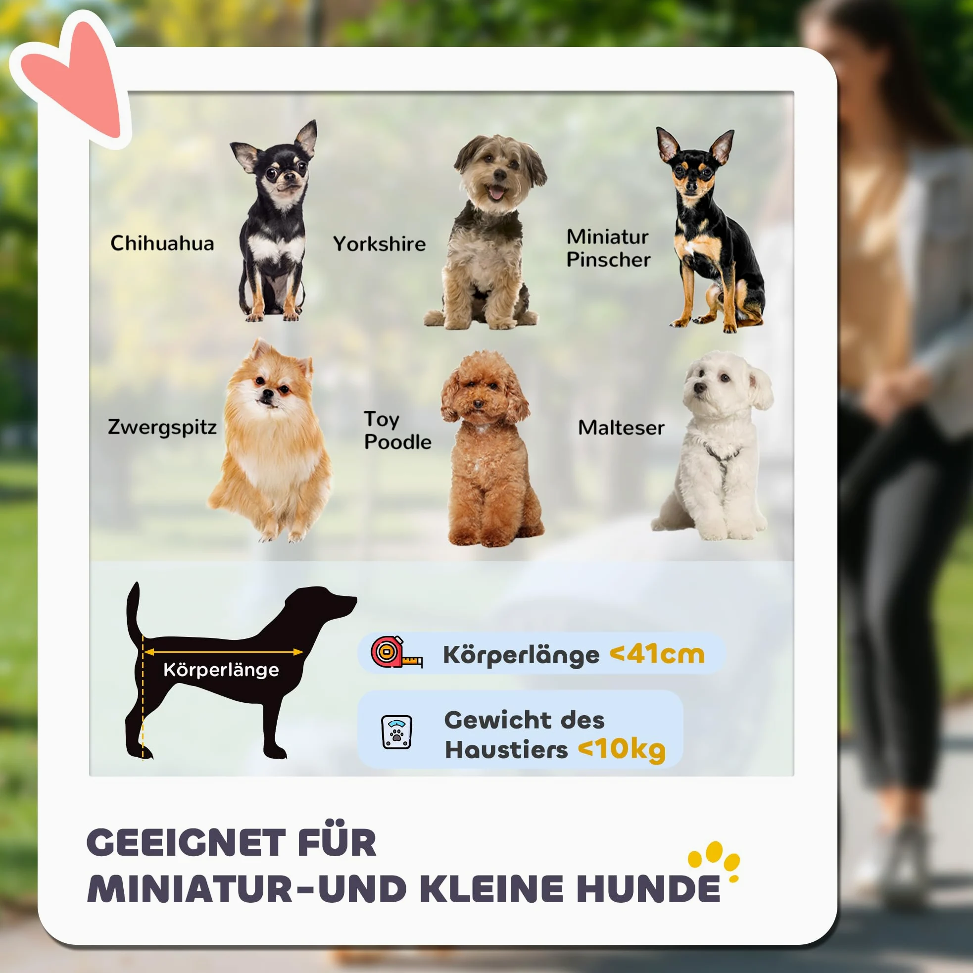 PawHut Passeggino pieghevole per cani e gatti fino a 10 kg, con finestra a rete, portabevande per gatti, colore: rosso