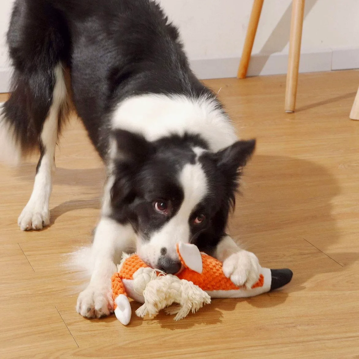 Shuofeng Tech Plush Toy Dog, interattivi ripiene Fox Dog Toys per Noia, Carino Squeaky Dog Chew Giocattoli per Il Cucciolo, Piccolo, Medio, Grande Breed