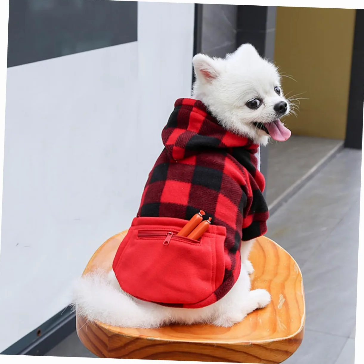 Sosoport 3 Pezzi Costume Natalizio Per Animali Domestici Giacca Per Cani Di Cintura Abbigliamento Per Cani Alla Moda E Pratico Per Natale