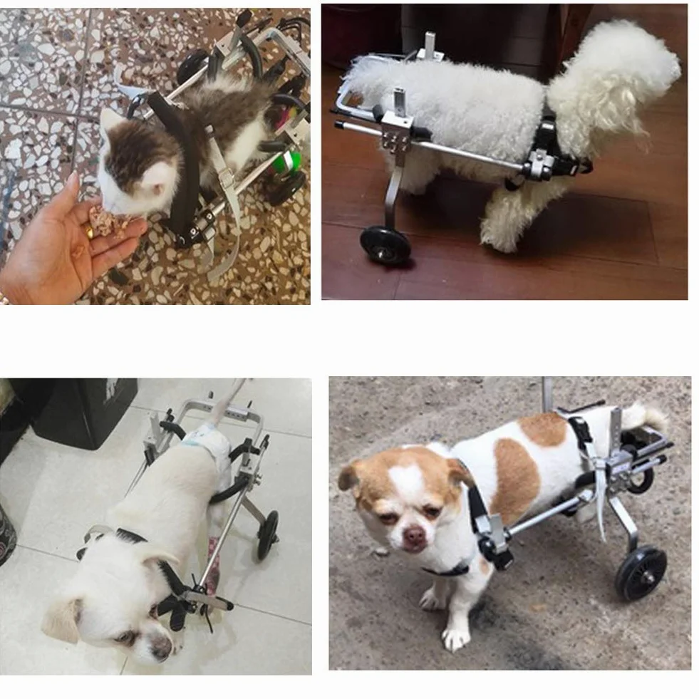 Sedia a Rotelle per Cani Disabile Regolabile Carrellino per Cani, Peso 1~60 kg, Riabilitazione per Gambe Posteriori/Zampa Posteriore, per Cane e Gatto, 2 Ruote, Dog Cat Wheelchair