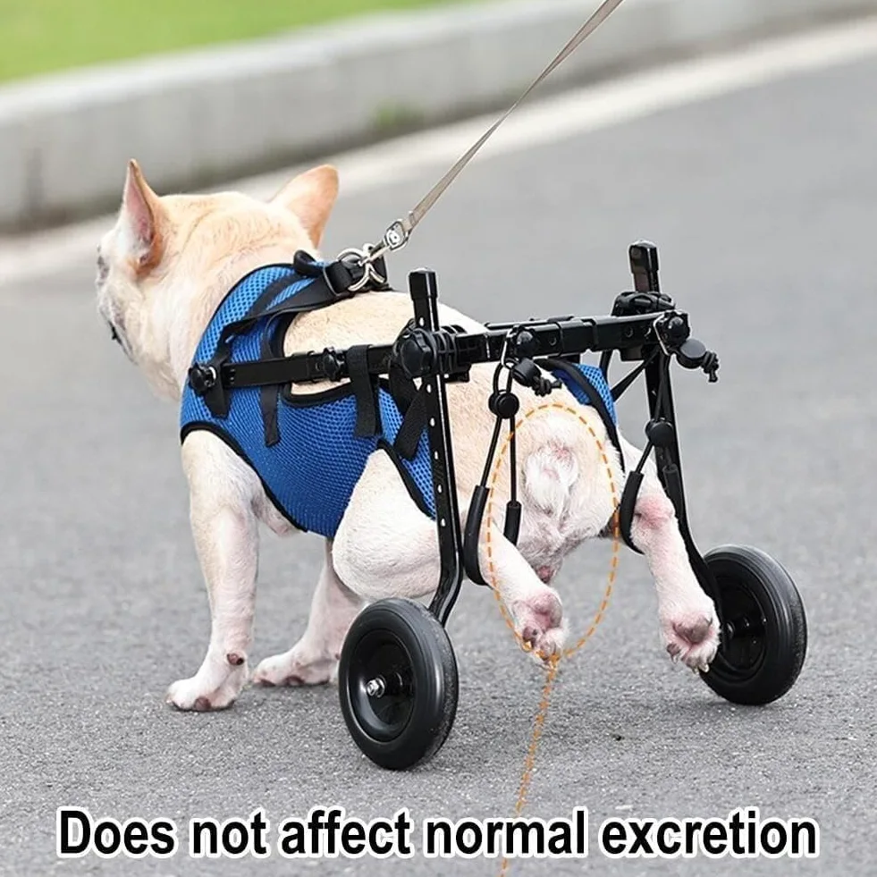 Sedia A Rotelle Per Cani Di Piccola Taglia, Carrello Per Cani Regolabile A 2 Ruote, Riabilitazione Delle Gambe, Strumenti Per Passeggiate Con Animali Domestici, Sedia A Rotelle Per Animali Domestici