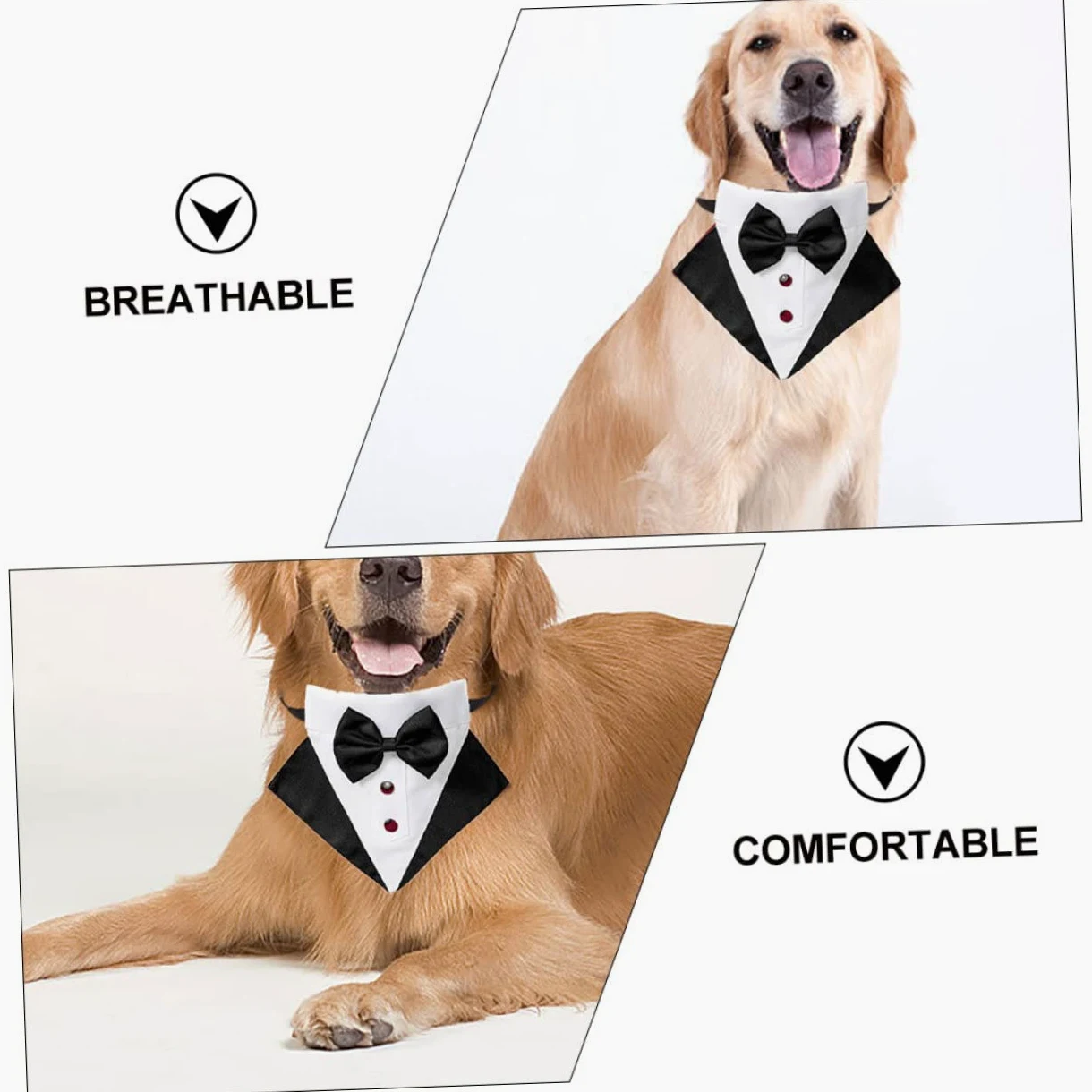 INOOMP 2sets Look Abbigliamento Formale Per Comprendente Un Bandana Cravattino Per Matrimoni e Speciali Costume è Facile Indossare Chiusura è e Accattivante Assicurando Per e Cerimonie