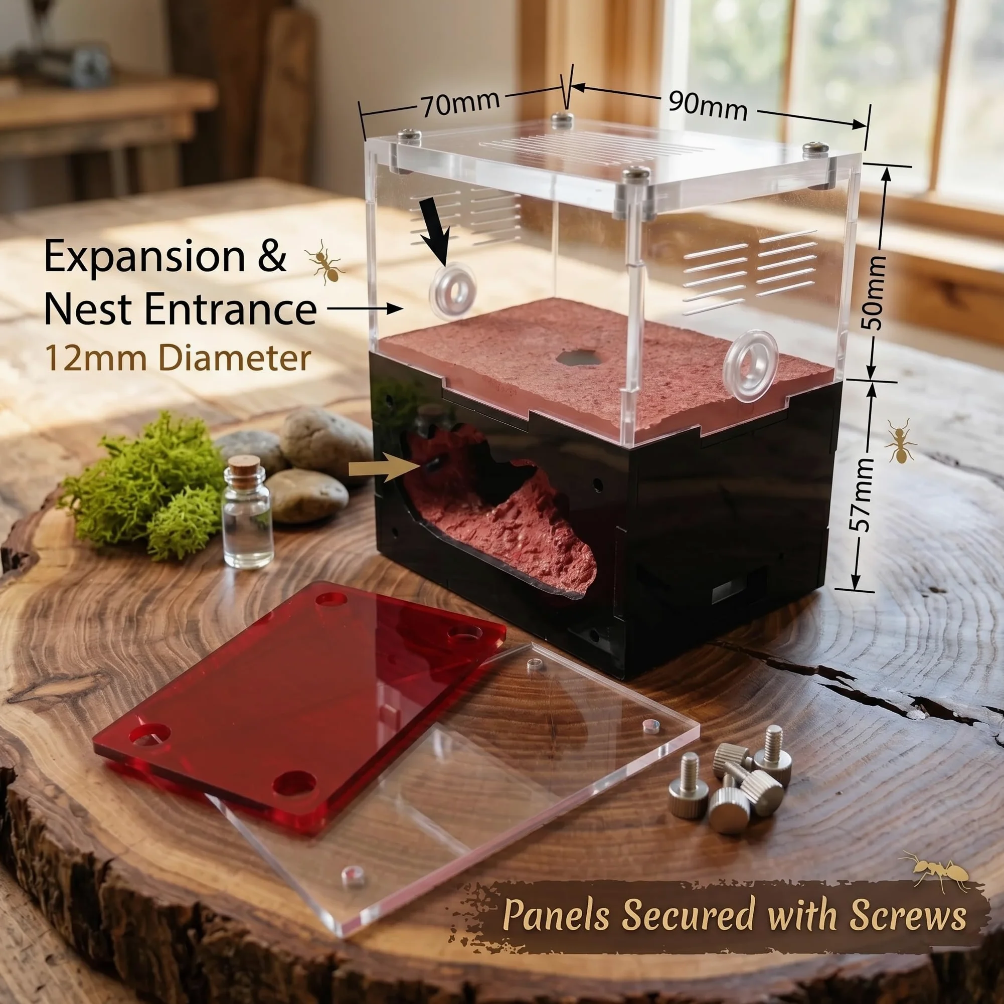 Formicarium - Kit Habitat per Ant Farm, per osservazione del comportamento, terrario educativo per adulti e bambini