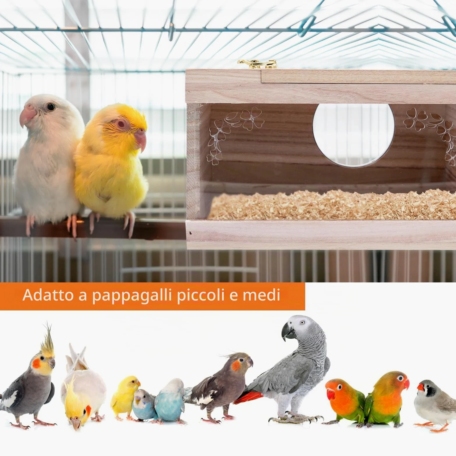 Scatola di Allevamento per Uccelli Nidi In Legno Gabbia per Parrocchetta Animali Scatola Per l'Accoppiamento Degli Uccelli per Piccoli Come Fringuelli Pappagallini Canarini