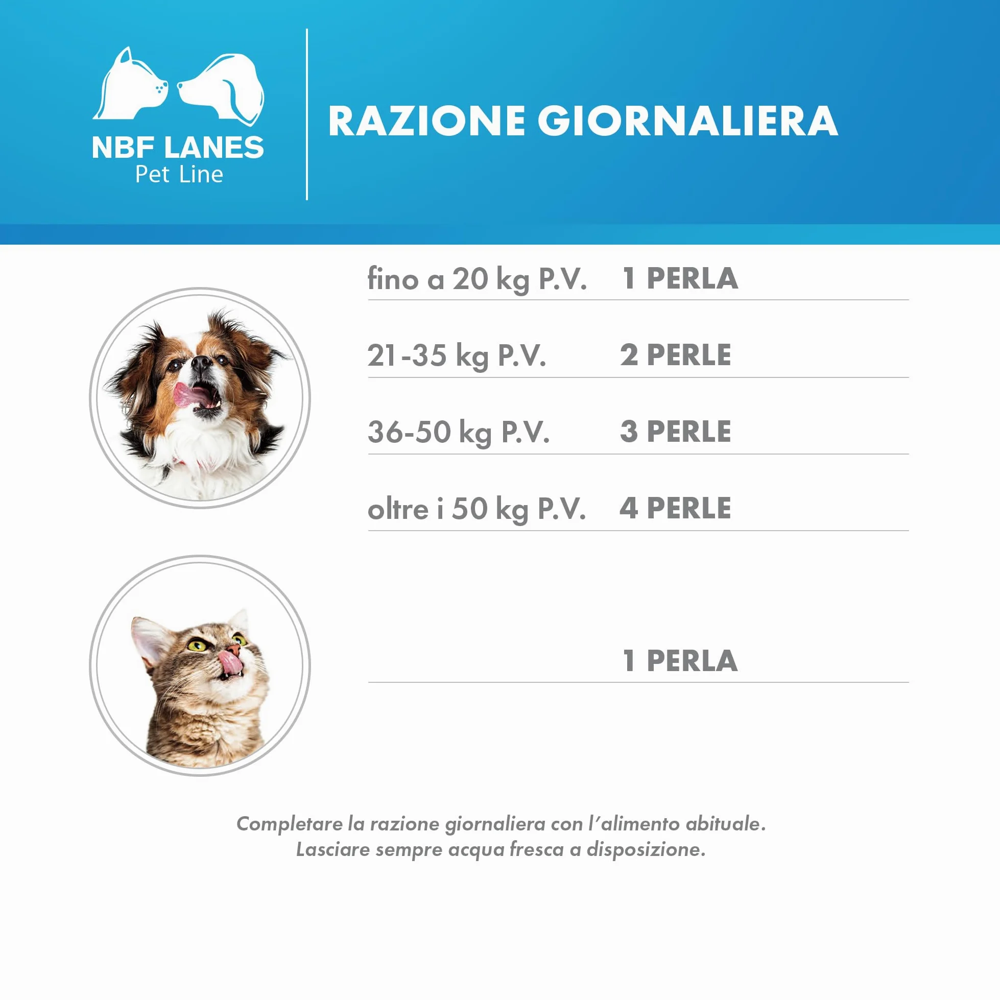 NBF Lanes | Perognidol FORTE Cane e Gatto, 40 perle, Favorisce la Normale Nocicezione e la Normale Funzione del Sistema Endocannabinoide