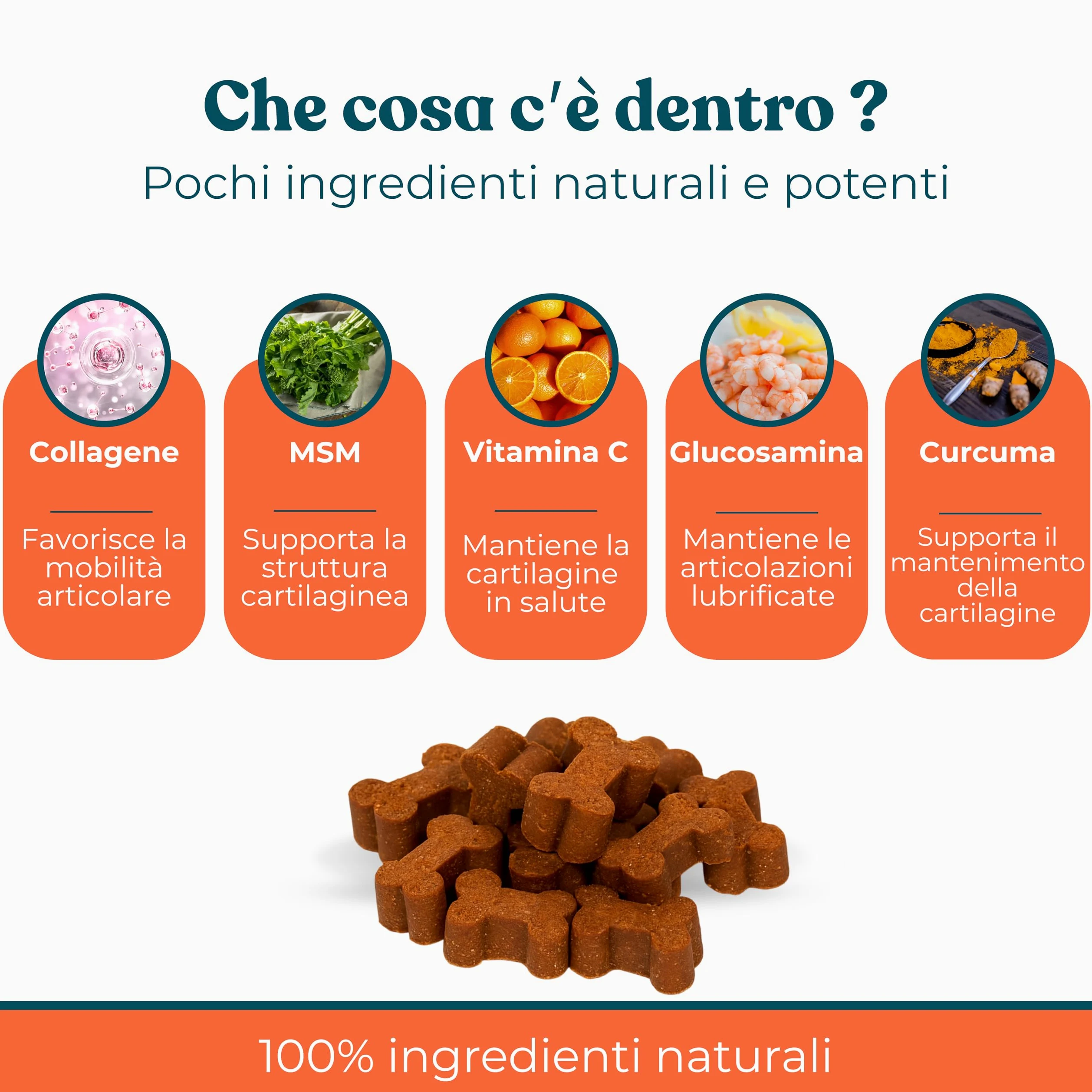 Integratori per Cani Ossa e Articolazioni Gusto Manzo - Integratore Articolazioni Cane per Favorire Lo Sviluppo o Mantenere la Mobilità