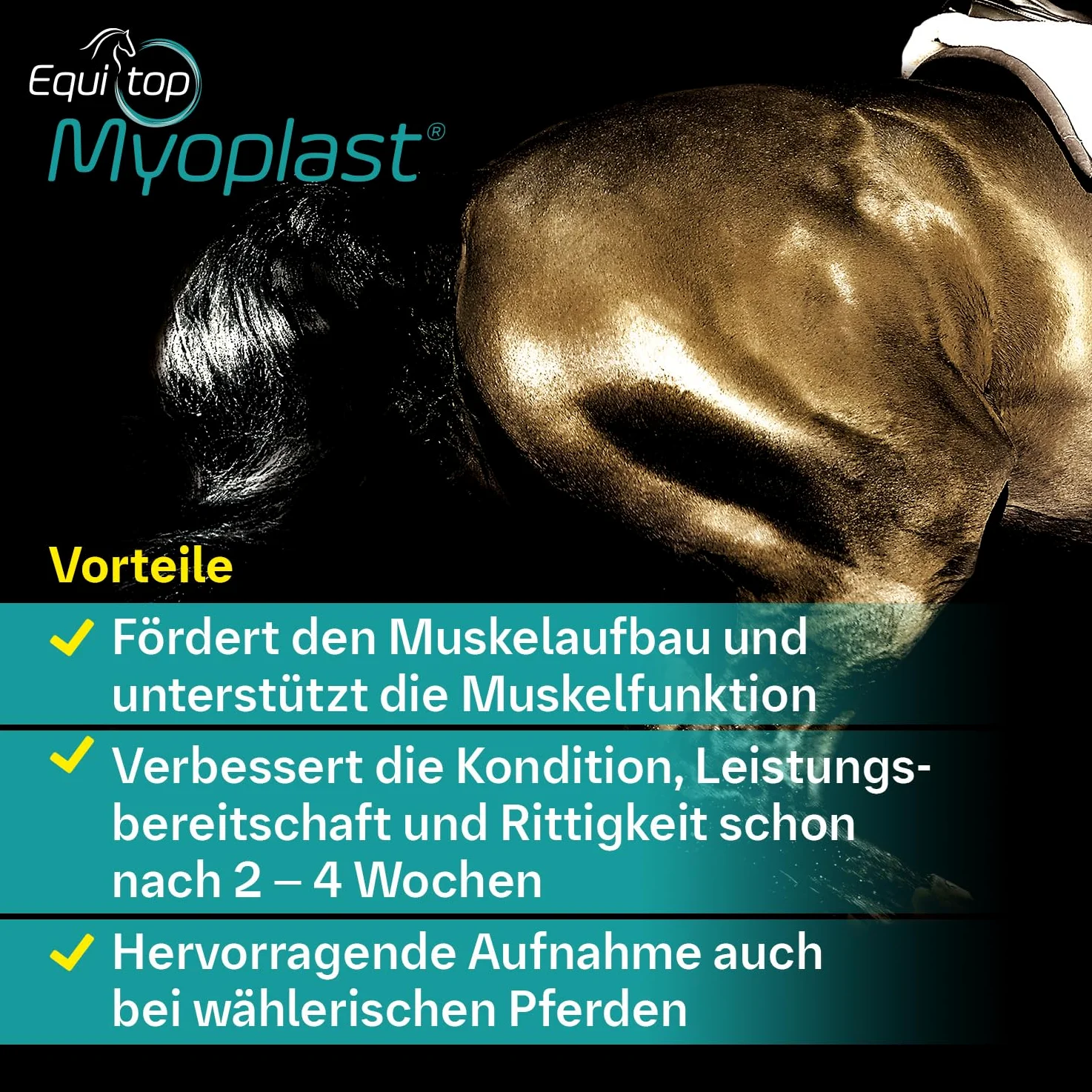 EQUITOP Myoplast