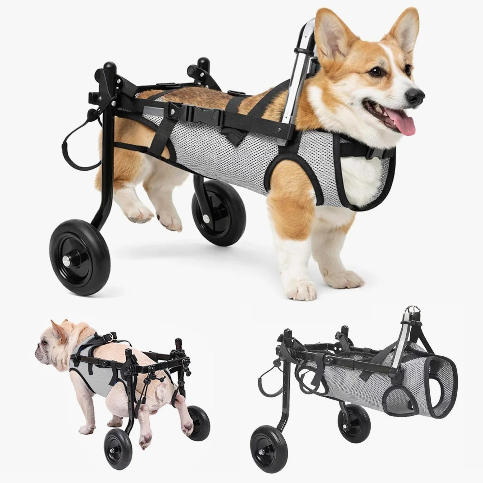 Carrozzina per Cani Leggera e Regolabile con Supporto Zampe Posteriori Pieghevole, Sedia a Rotelle Mobile per Cani di Piccola Taglia con Gambe Disabili o Paralizzate, Aiuto alla Mobilità e Riabilitazi
