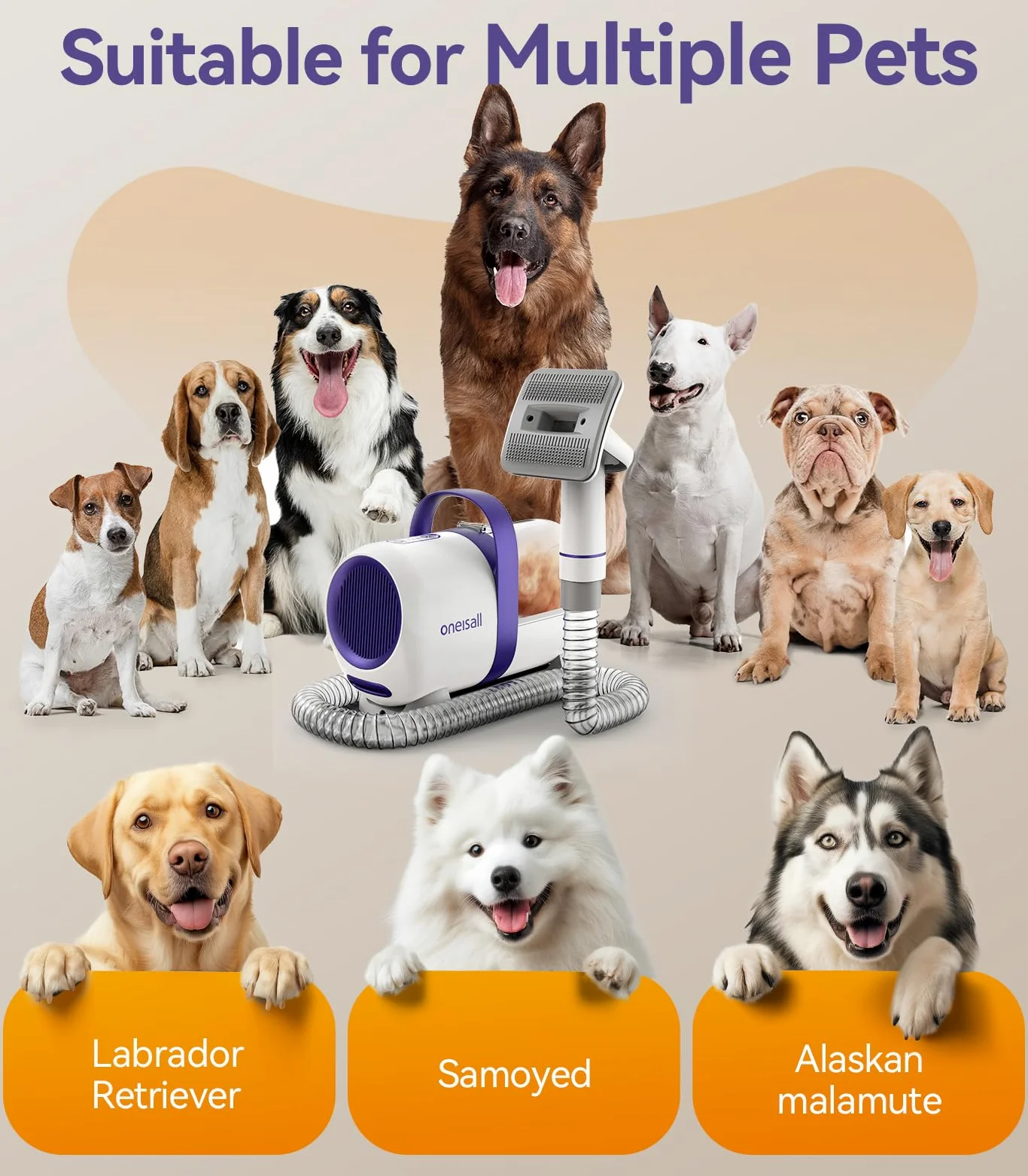 oneisall cane aspirapolvere con spazzola, forte potenza di aspirazione cane spazzola aspirapolvere con 12000 Pa, succhia il 99,99% dei peli di animali domestici (1,5L) con 4 accessori per la cura
