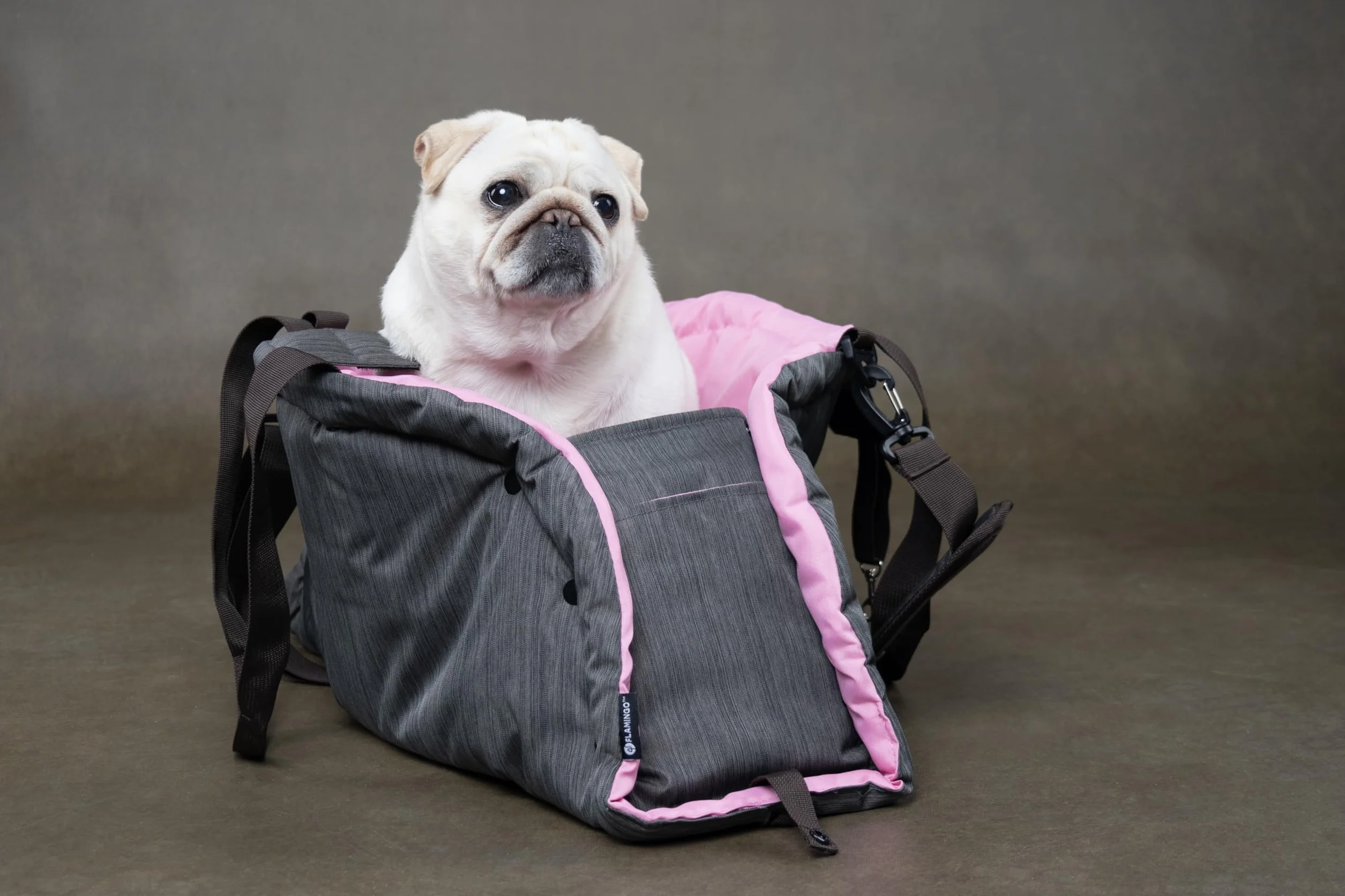Trasportino per Cani – Gatti – Xenos – Borsa 2 in 1 in Poliestere, Utilizzabile Anche Come Coperta, con Spallacci e Tasca portaoggetti