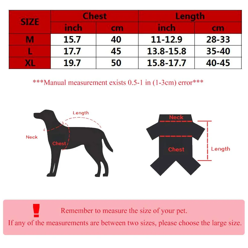 Costume da cane con drago e gatto, abbigliamento da danza del leone, caldo per l’esterno, cappotti invernali per cani di piccola taglia