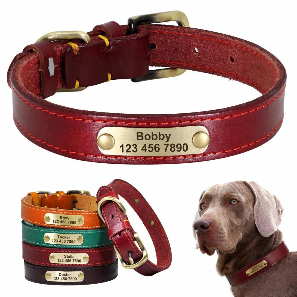 LYVQZPWLRIl Cane Porta, Guinzagli for Animali Domestici, Collare in Pelle Personalizzato for Cani, Fibbia in Pelle Dorata, Collare identificativo for Animali Domestici(Red,XS)
