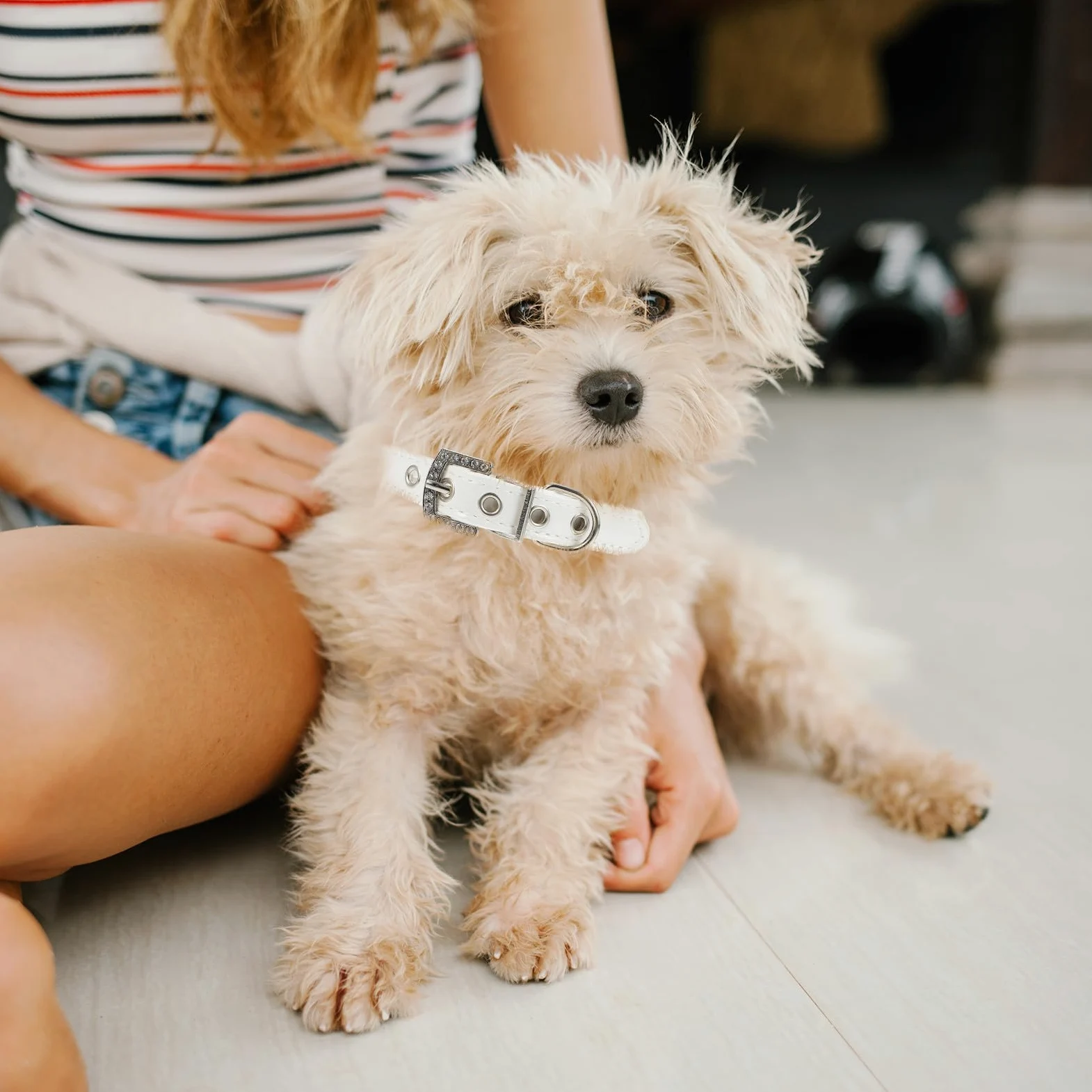 Abaodam Collare e Guinzaglio per Cani da Compagnia Perle, Set 2 Pezzi Bianco, per Cuccioli e Uscite all'Aperto
