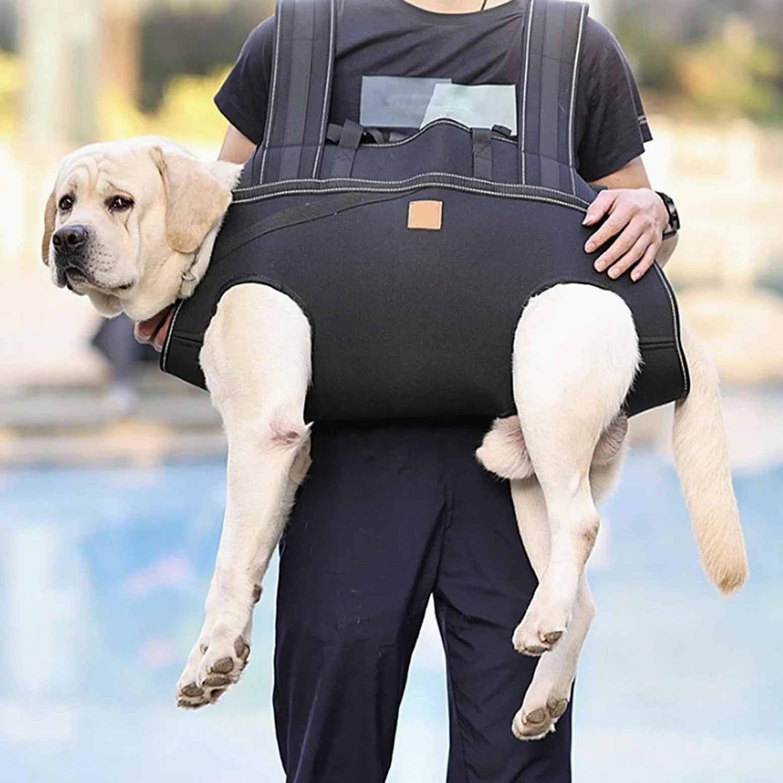Imbracatura Per Sollevamento Cani Pettorina Regolabile Traspirante | Imbracatura Assistenza Mobilità Canina Per Cani Anziani E Razze Grandi, Alla Mobilità, Riabilitazione, Passeggiate