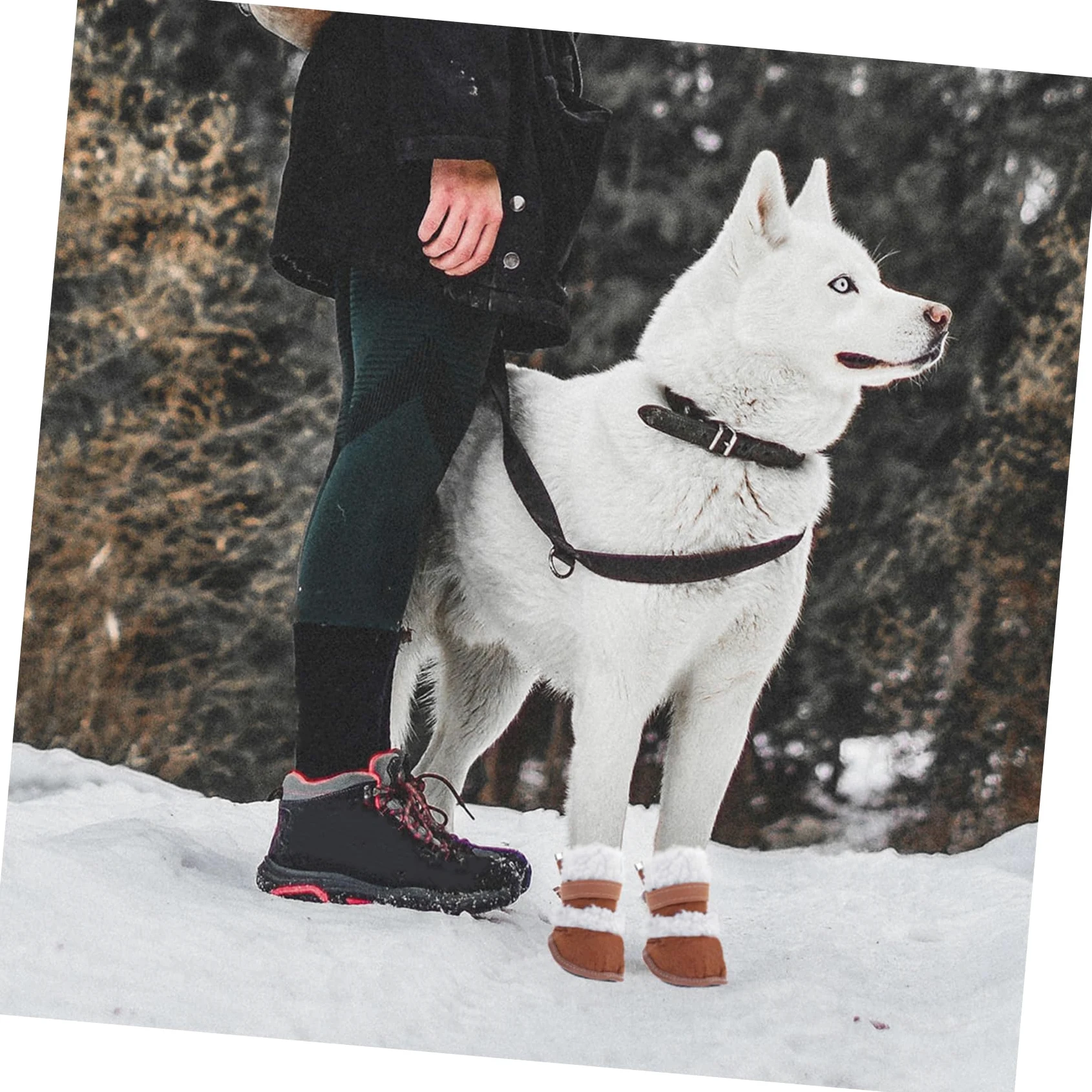 Housoutil 6paia Scarpe Antiscivolo per Cani Stivali Impermeabili e Caldi per Cuccioli per Inverno e attività all Aperto
