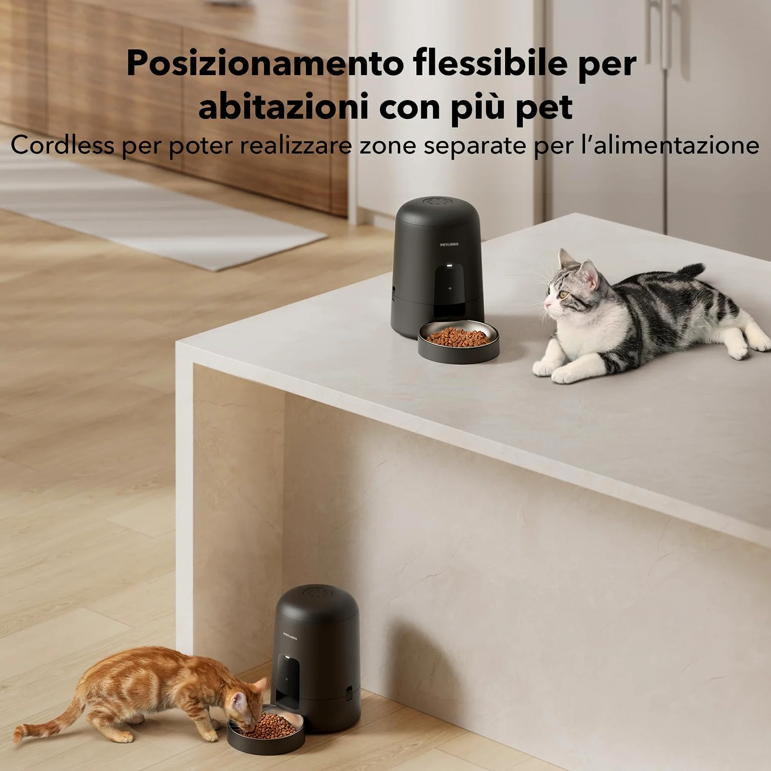 PETLIBRO 2.4G WiFi Distributore Automatico Cibo Gatti con Batteria, Distributore Automatico Cibo Cani Senza Fili in Acciaio Inox, Mangiatoia Intelligente per Gatto, APP Controllo, 1-10 Pasti, 2L,Nero