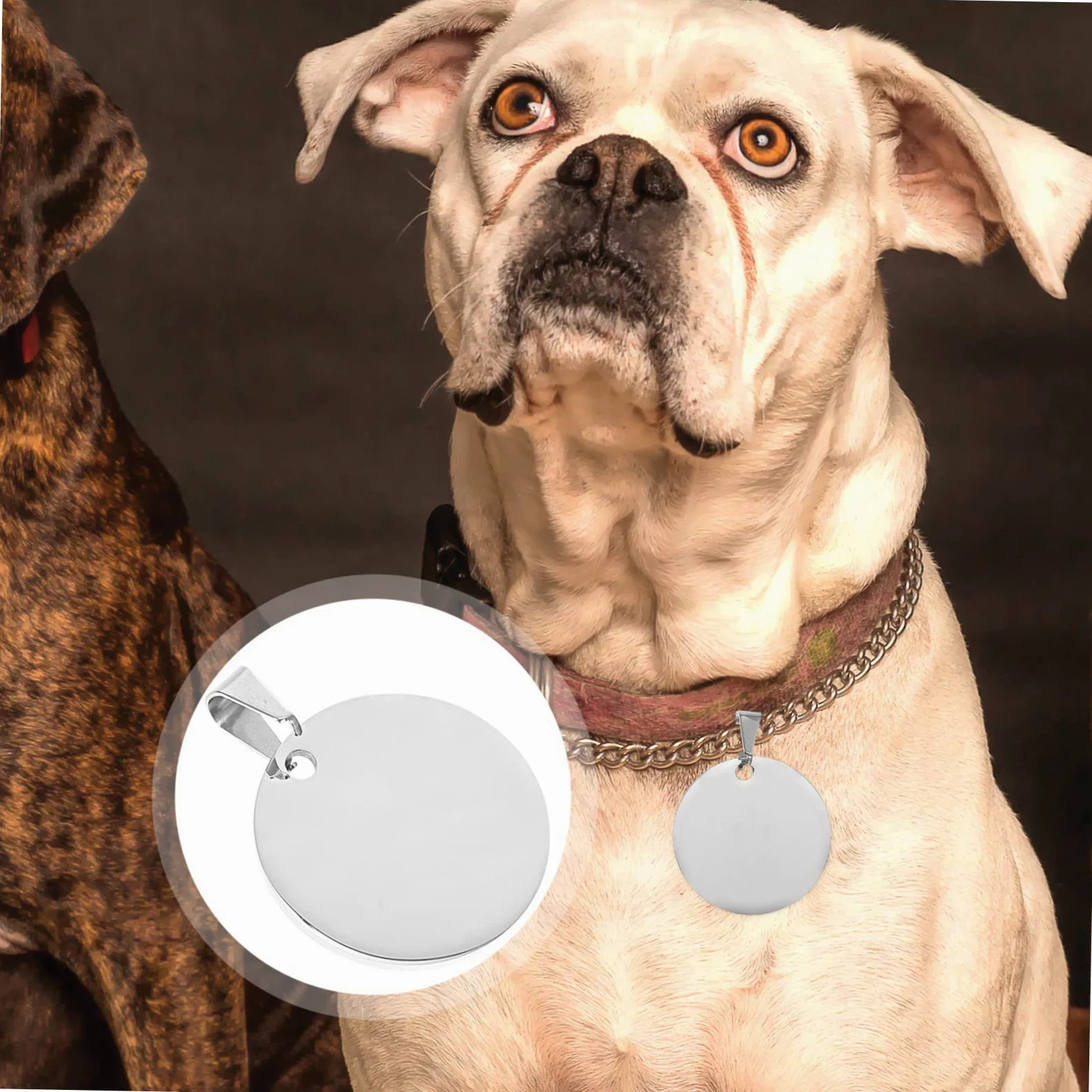 POPETPOP 3 Set Etichetta Di Identità Animale Targhetta Personalizzata Medaglietta Cane Medaglietta Di Riconoscimento Ciondoli Vuoti A Cerchio Piatto Cani Medaglietta in Titanio 10 Pezzi * 3