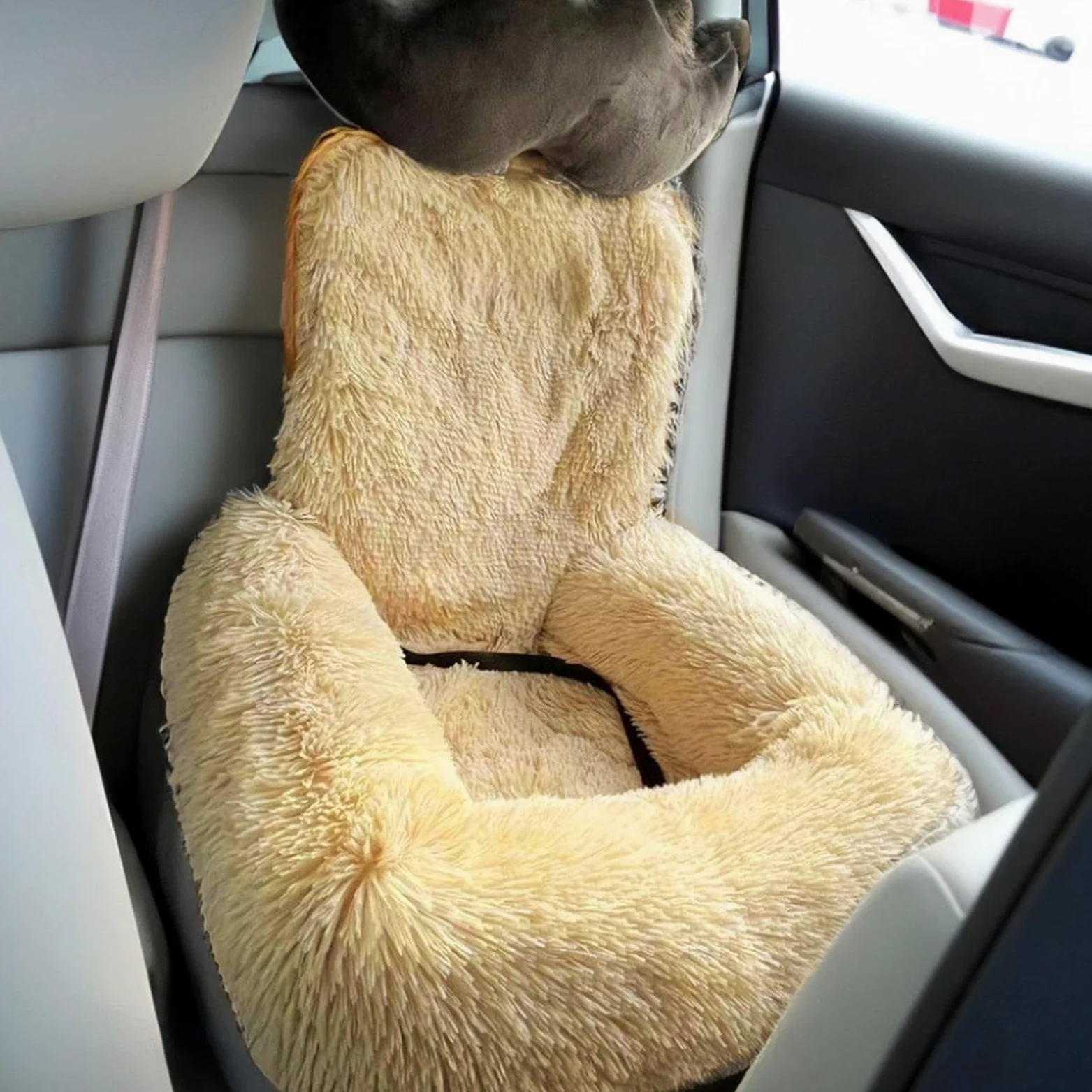 Sedile Auto Cani Cuscino Lavabile Auto Viaggio | Rialzo Morbido Gatti Taglie Piccole Grandi Cuccioli Veicoli Viaggi Vacanze Campeggio