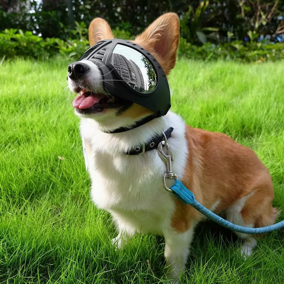 Sarini Occhiali per Cani Protezione UV Occhiali da Sole per Cani Occhiali protettivi Regolabili Antivento Impermeabili per Cani di Taglia Grande