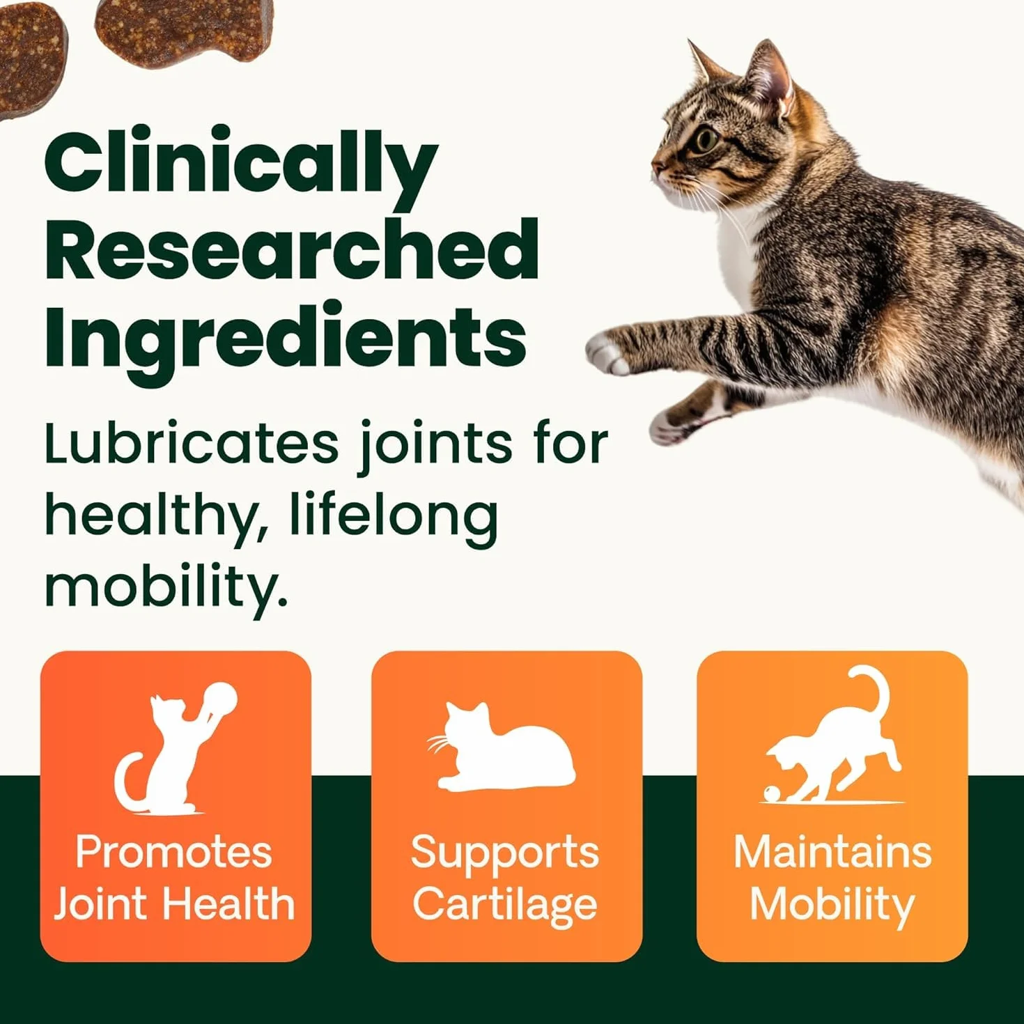 Vetri-Science Laboratories Glyco Flex 3 Anca e Giunti supplemento per Gatti, Bite Sized Chews