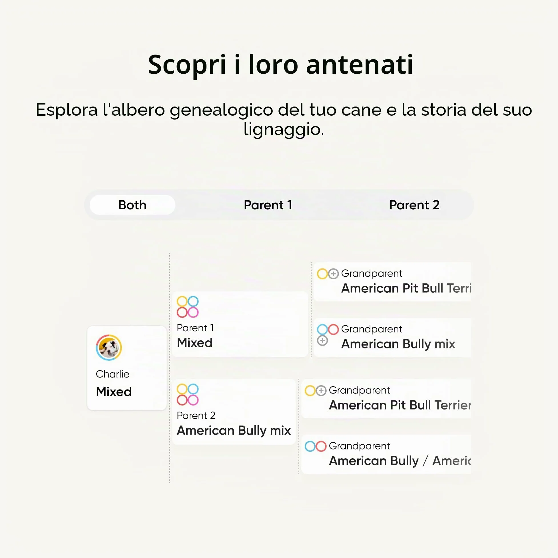 Embark - Test del DNA per cane, kit di identificazione della razza
