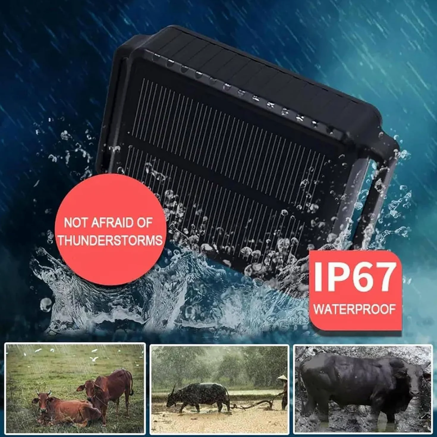 Localizzatore GPS solare per bovini e cavalli, collare impermeabile con batteria da 20000 mAh, design antifurto, connettività 4G, confezione da 10
