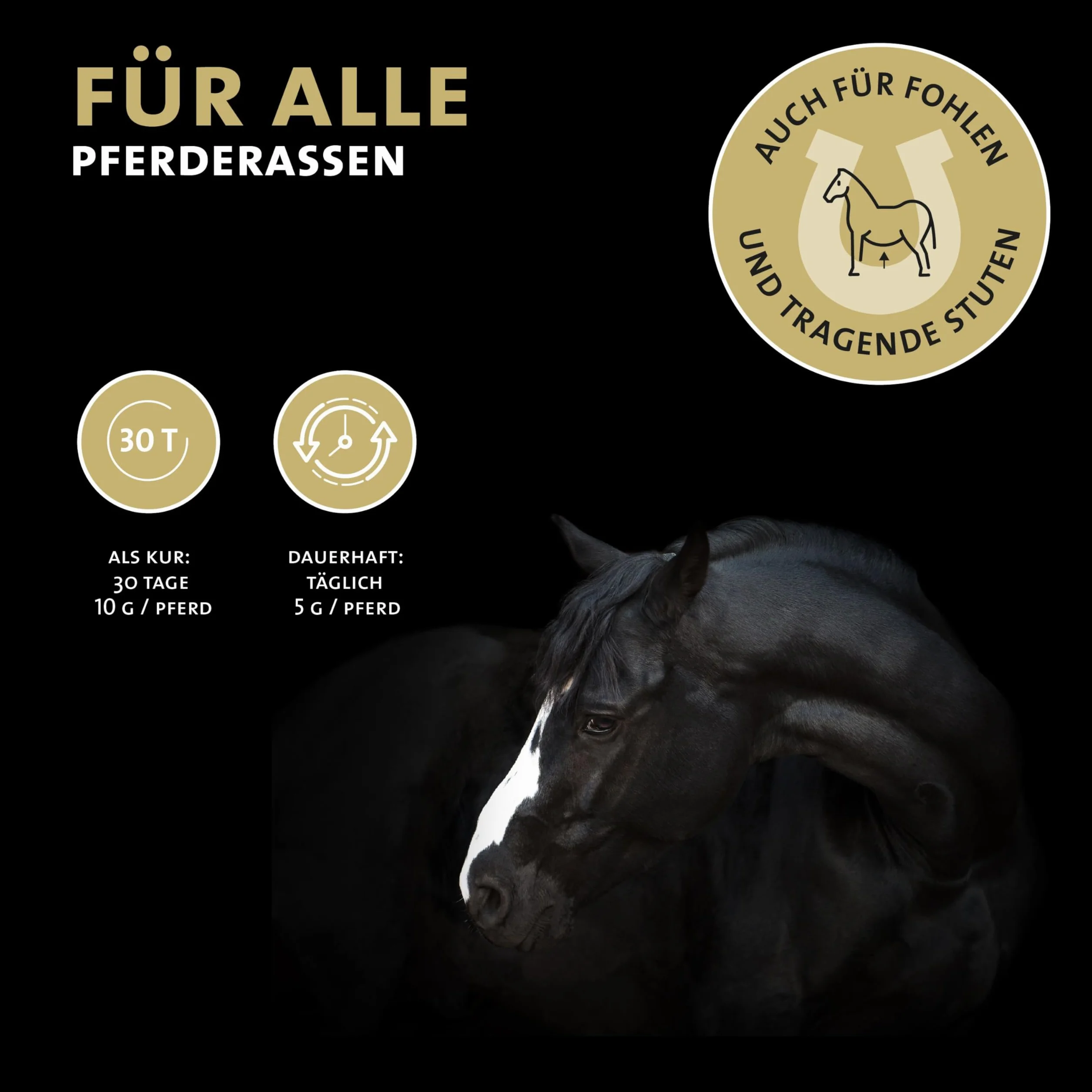 Peticare Polvere Digestione e Intestino Cavalli – Supporto Naturale per la Flora Intestinale – Con Fibre Prebiotiche ed Erbe – Integratore Gastrointestinale