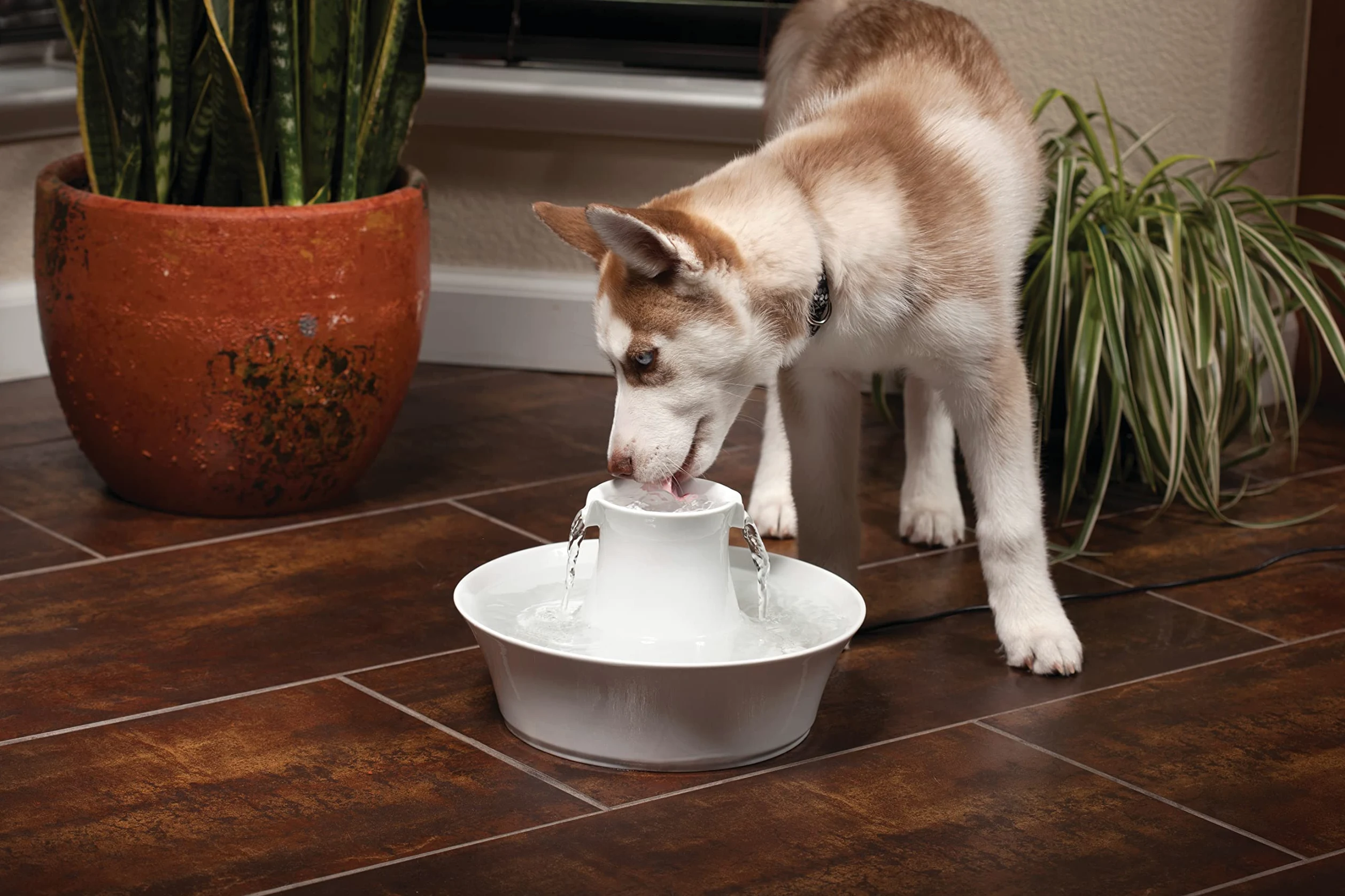 PetSafe AVALON-EU-45 Fontanella per Gatti e Cani in Ceramica Avalon Drinkwell - 2.7 kg