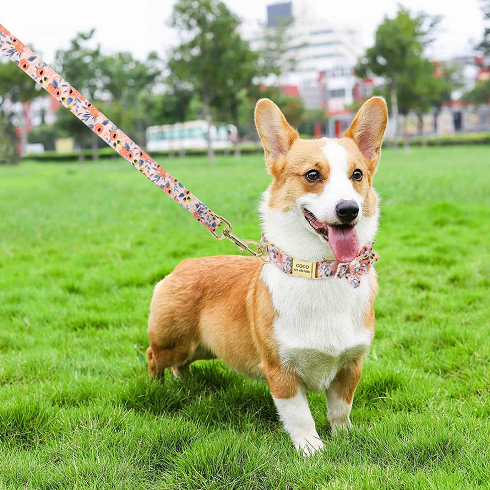 Set Di Collare E Guinzaglio Per Cani In Nylon Stampato Collare Per Gatti Personalizzato Per Cuccioli Di Cane Incisione Personalizzata Dei Collari Con Targhetta Identificativa Per Cani,Arancia,M