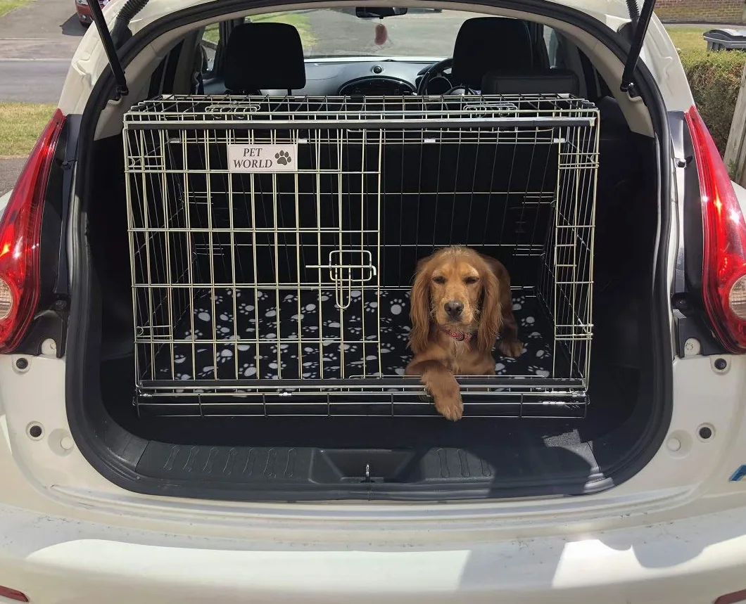 Pet World, Gabbia per animali domestici compatibile con Nissan Juke Cane Cucciolo Pet inclinato viaggio formazione auto cassa, gabbia